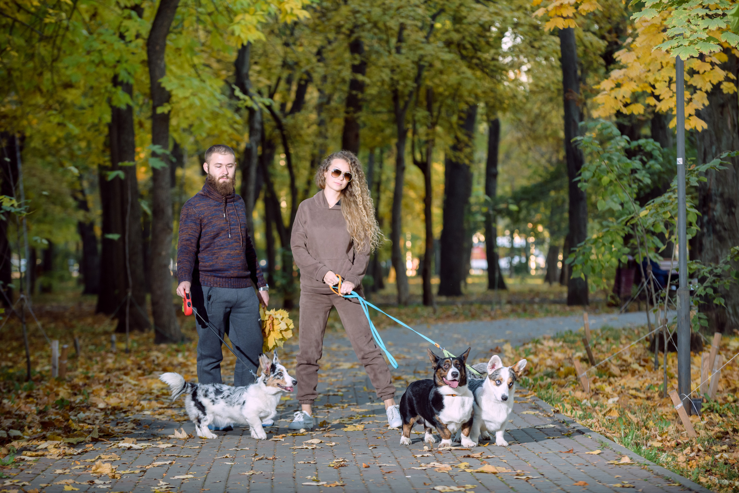 Фотосессия с вашей собакой. Фотограф в Ростове-на-Дону Маркер Елена