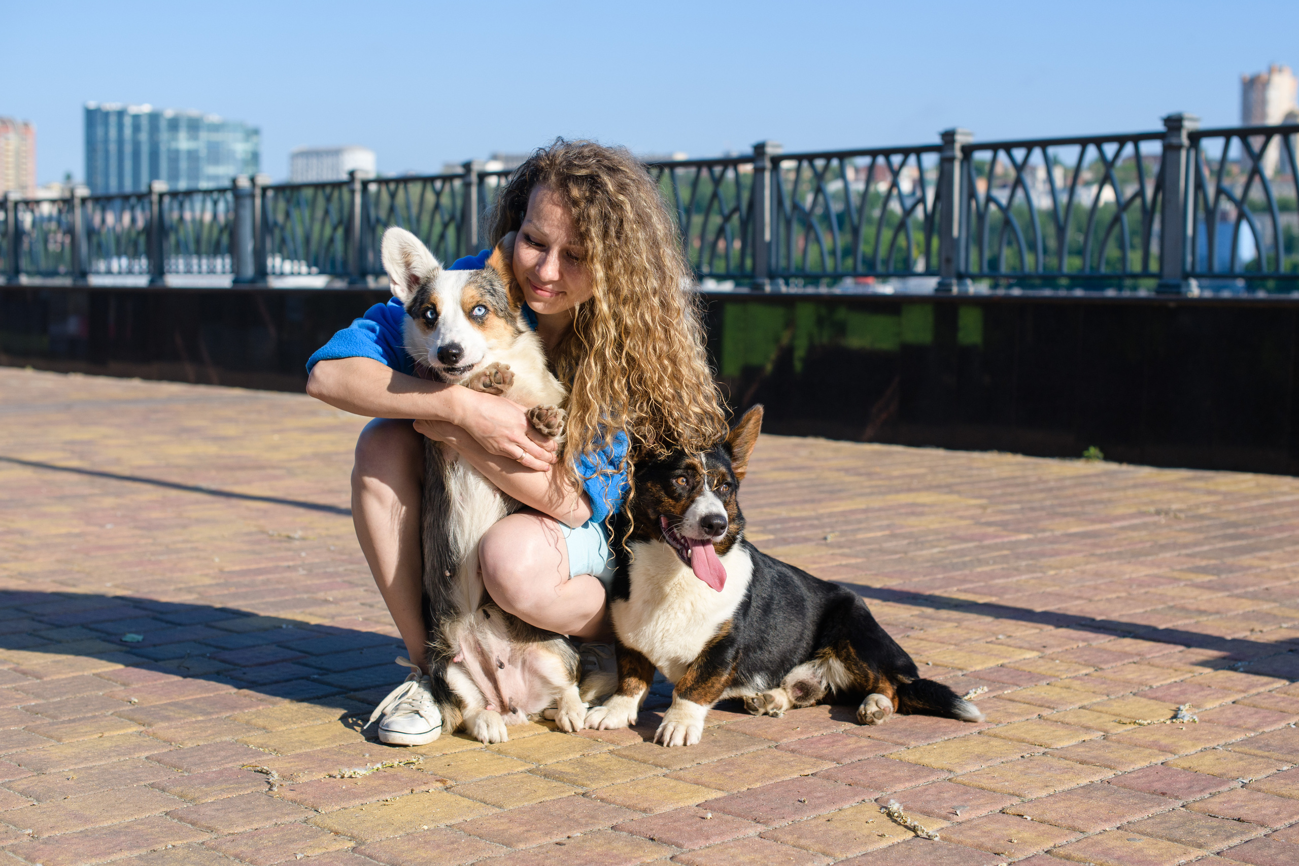 Фотосессия с вашей собакой. Фотограф в Ростове-на-Дону Маркер Елена
