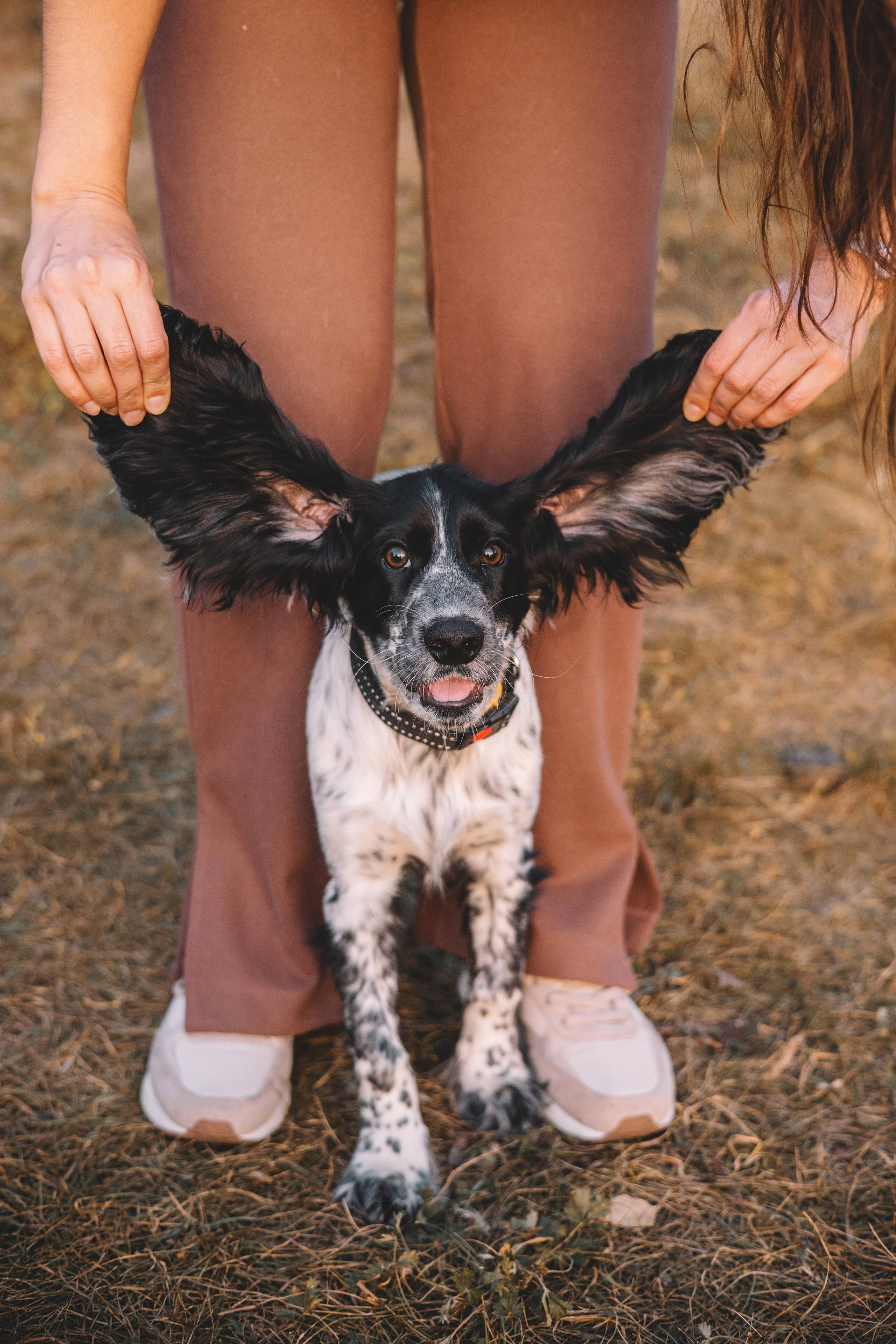 Рони, Вова и Светлана