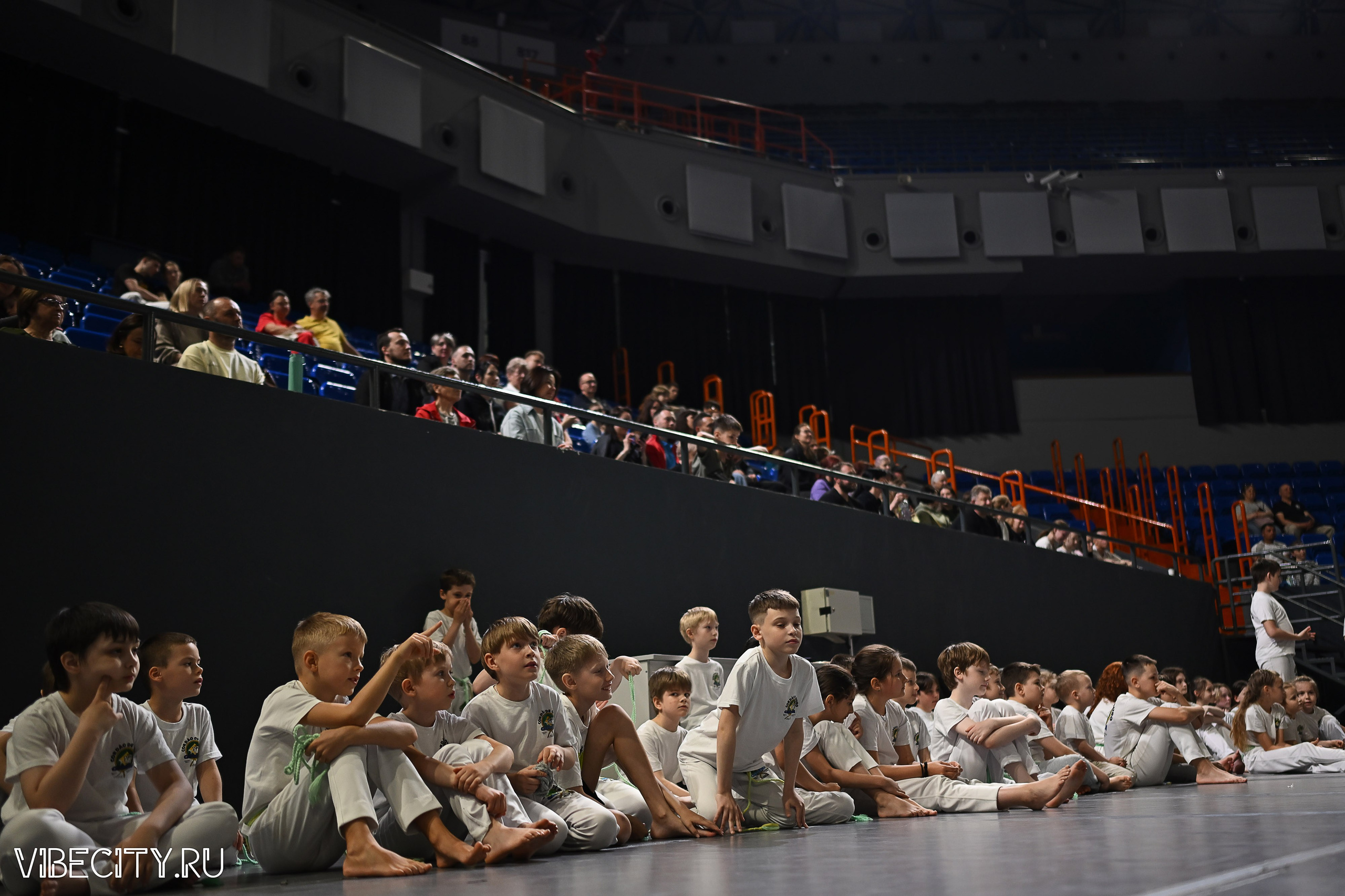 Капоэйра. Вручение поясов. VIBECITY.RU Вайб Сити Ру Фоторепортажи Фотоотчеты Калининград