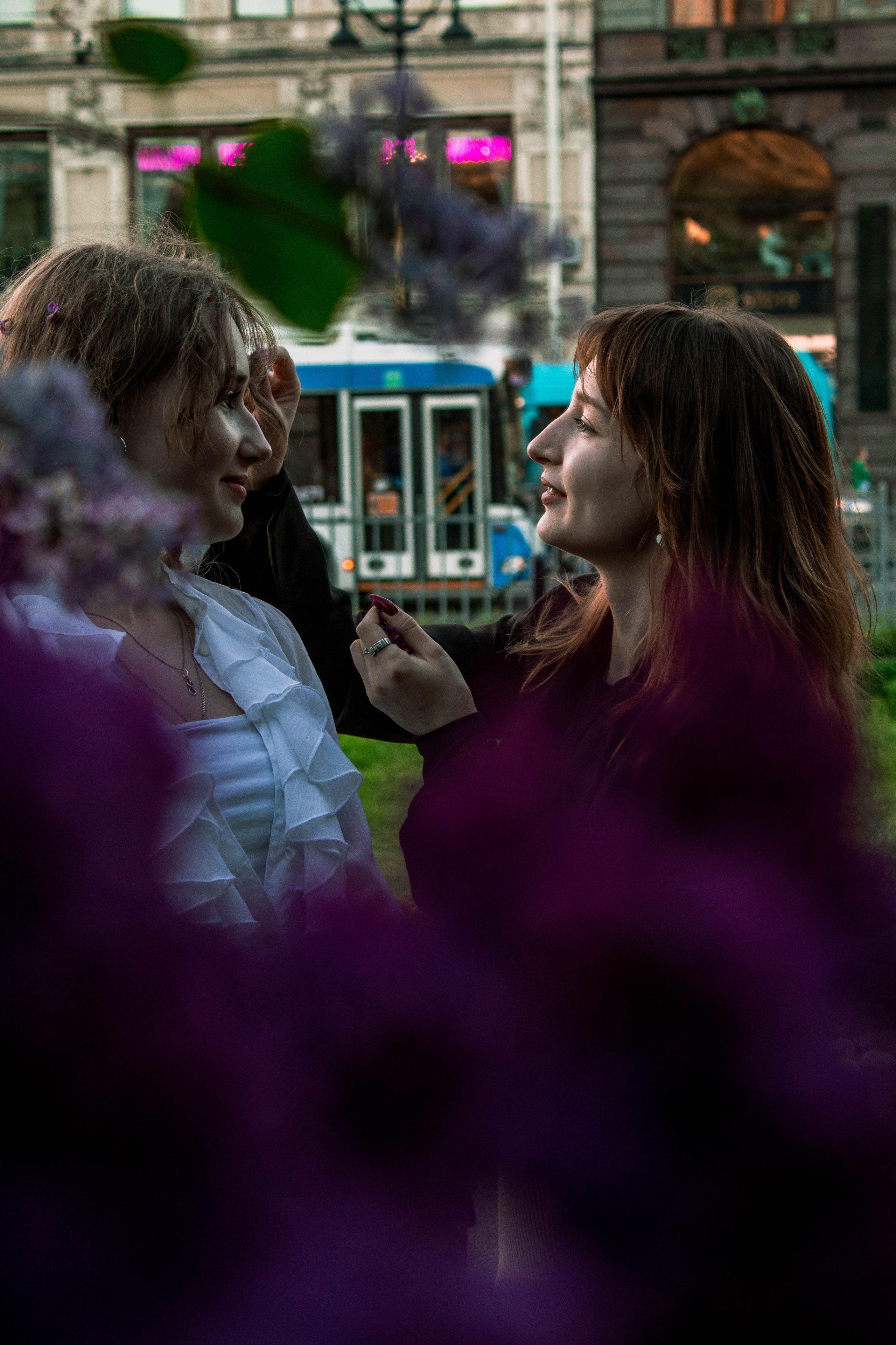 Сирень. Карпогоры, Санкт-Петербург