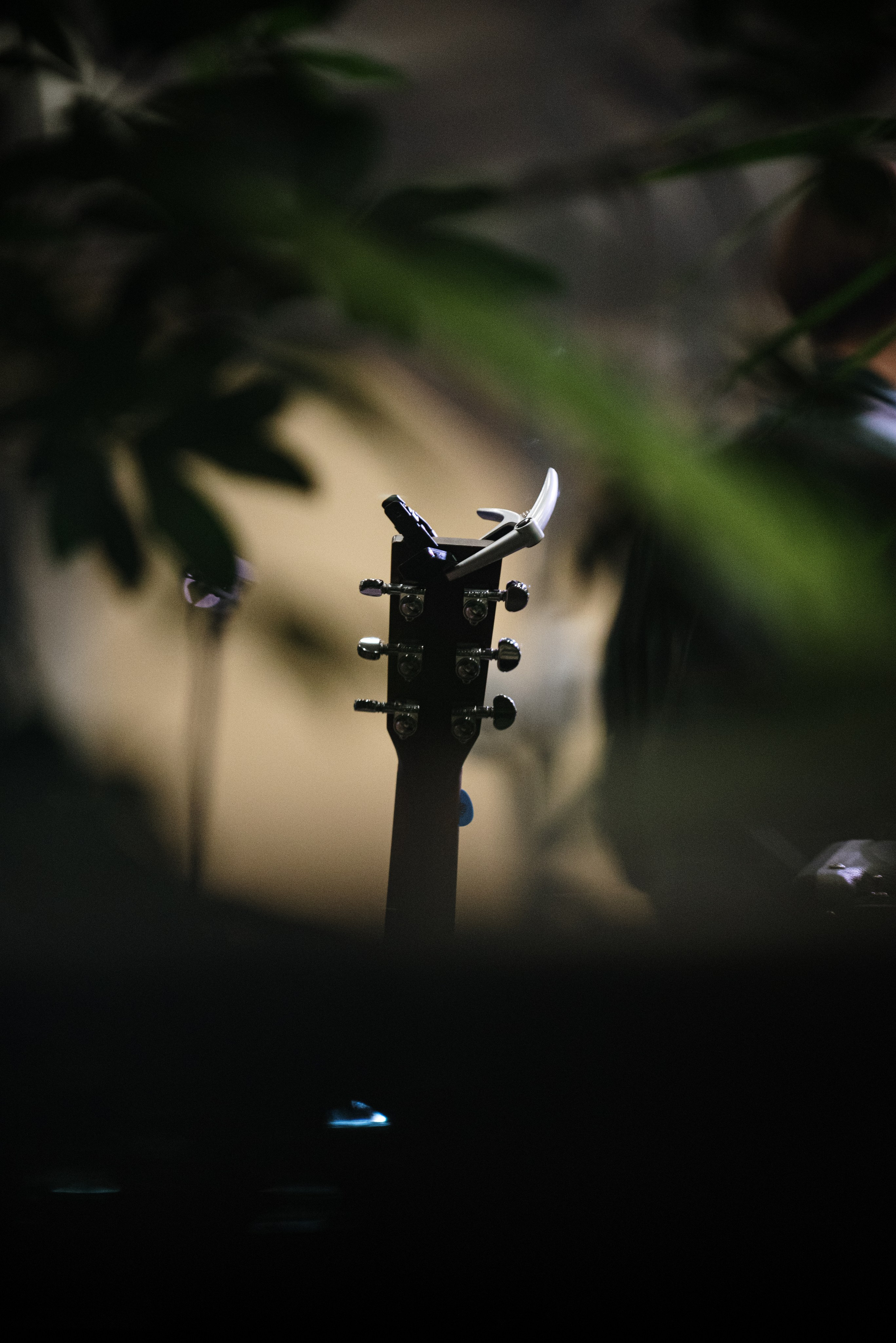 On-the-Go. Еремина Катерина