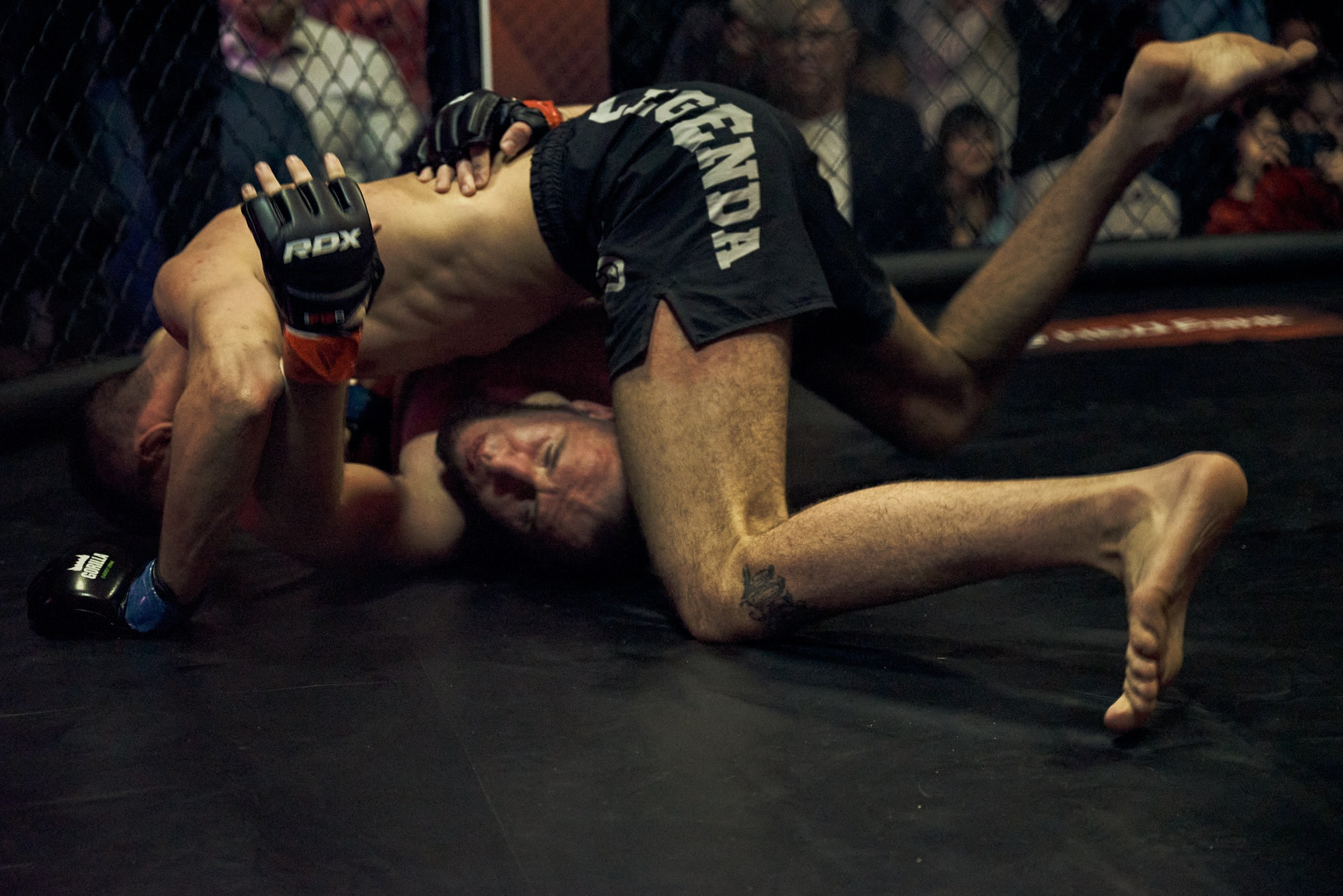 Бои. Маляревич Дмитрий свадебный фотограф