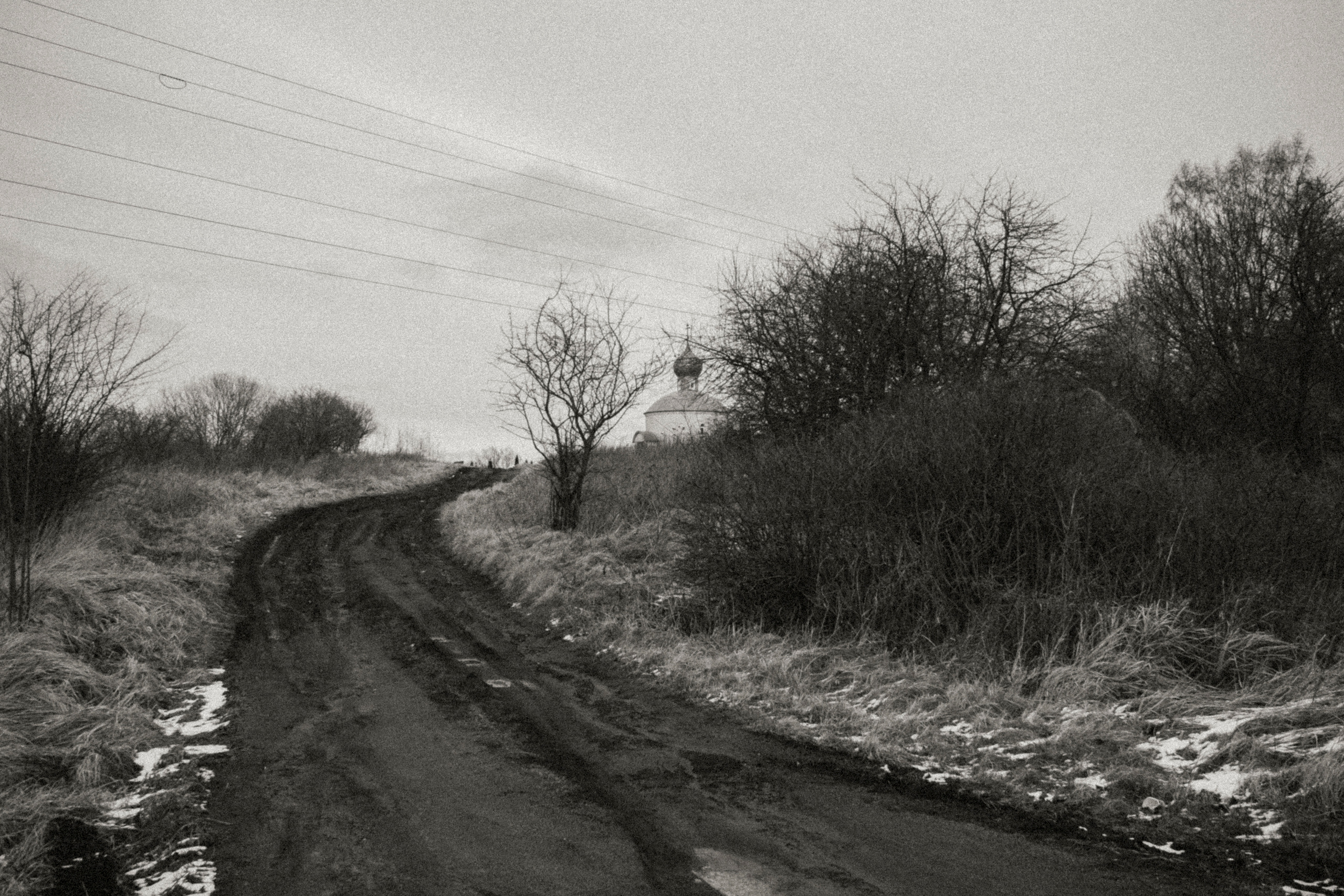 Black-white. Julia Gorbunova