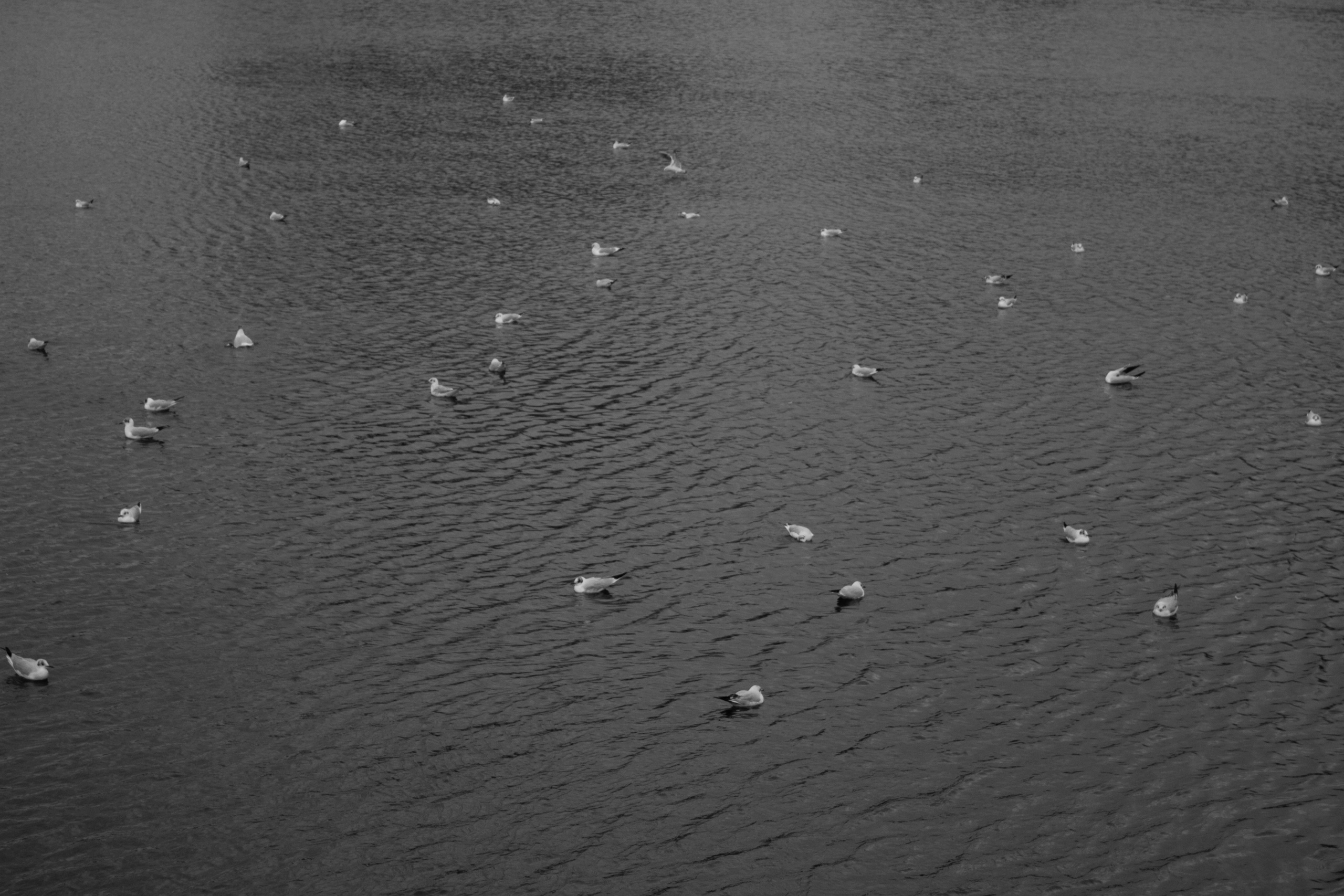 Endless season. Julia Gorbunova