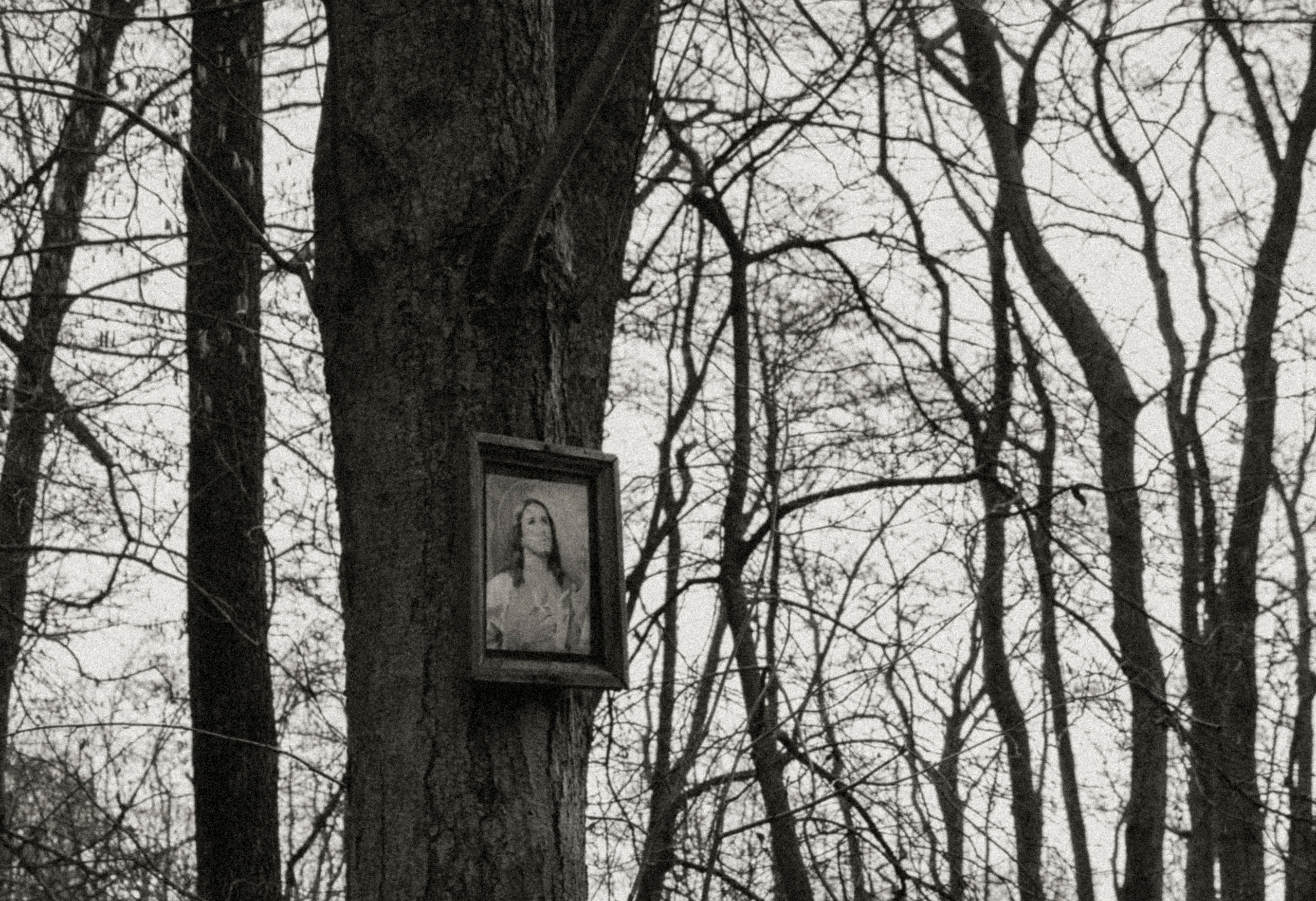 Black-white. Julia Gorbunova