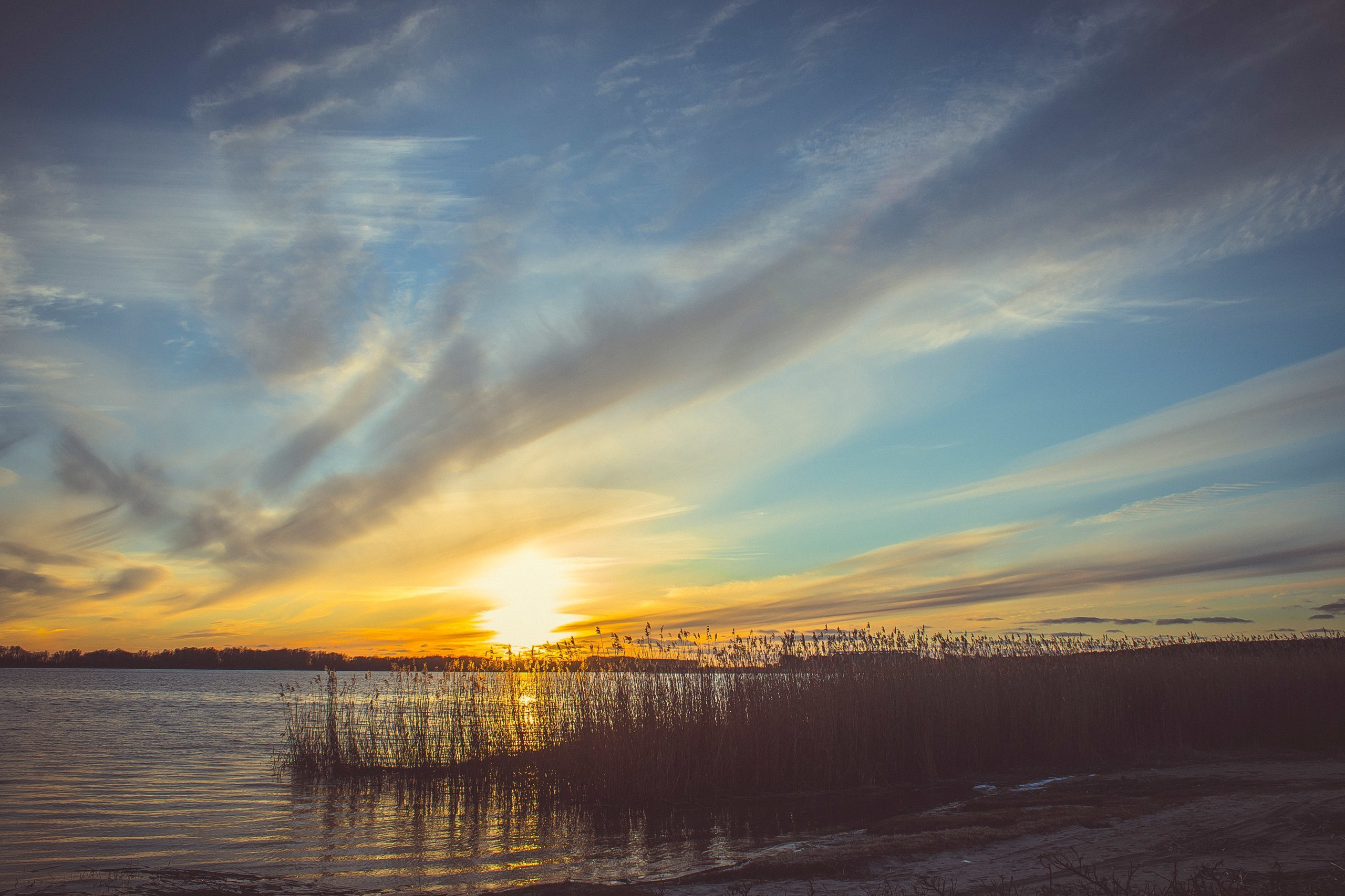 Color. Julia Gorbunova