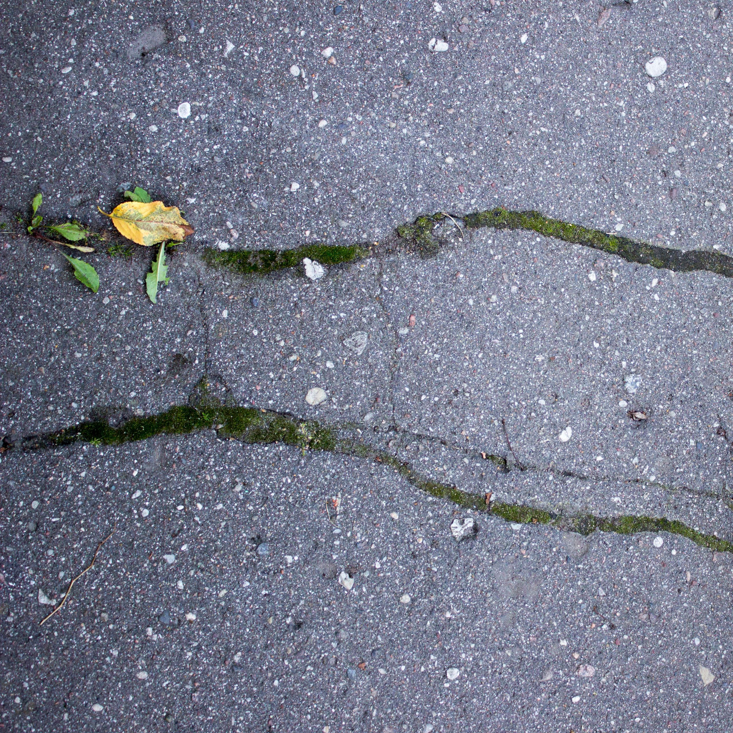 Substantia terrae (2017 — in progress). Julia Gorbunova