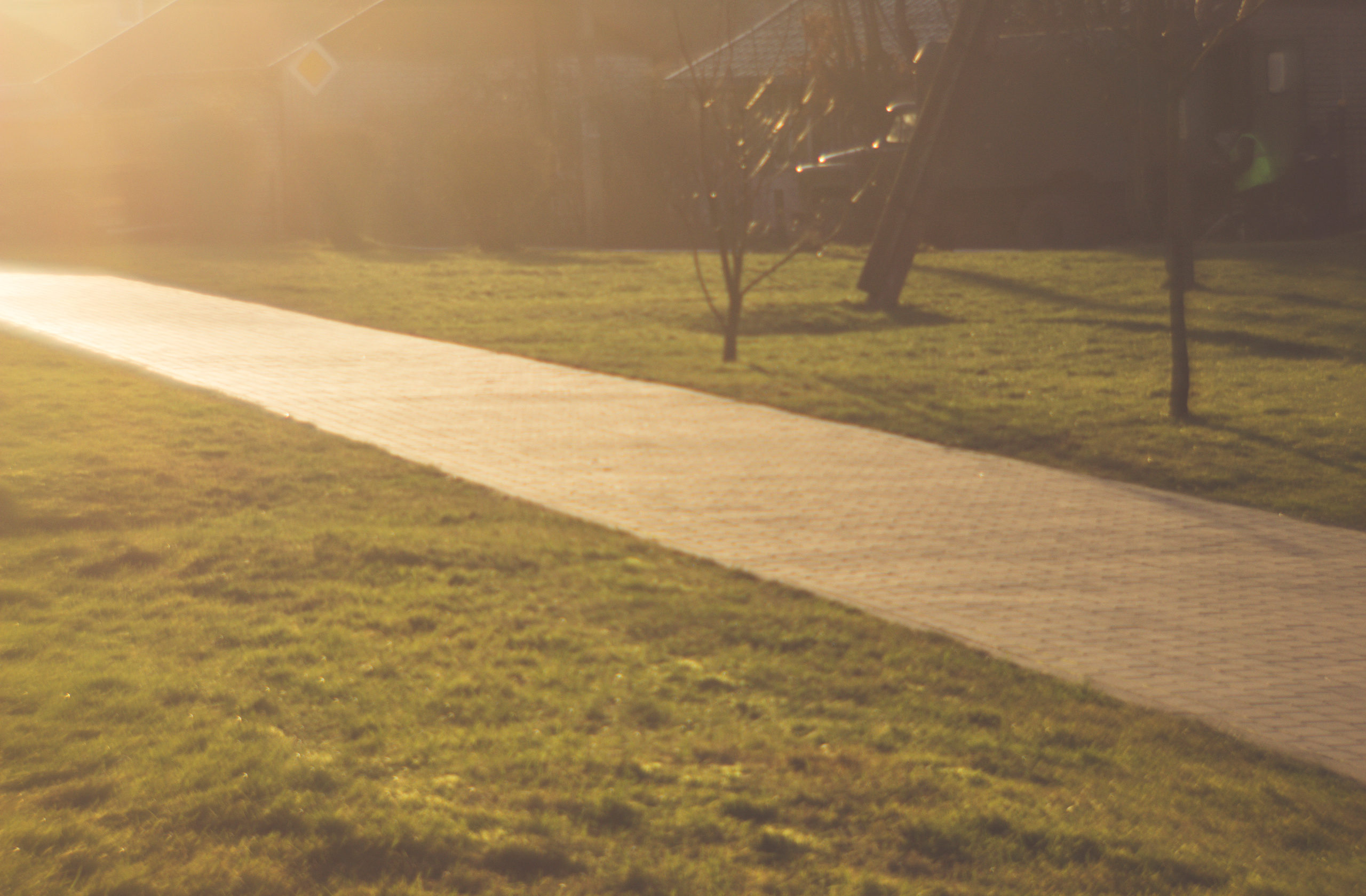 Color. Julia Gorbunova