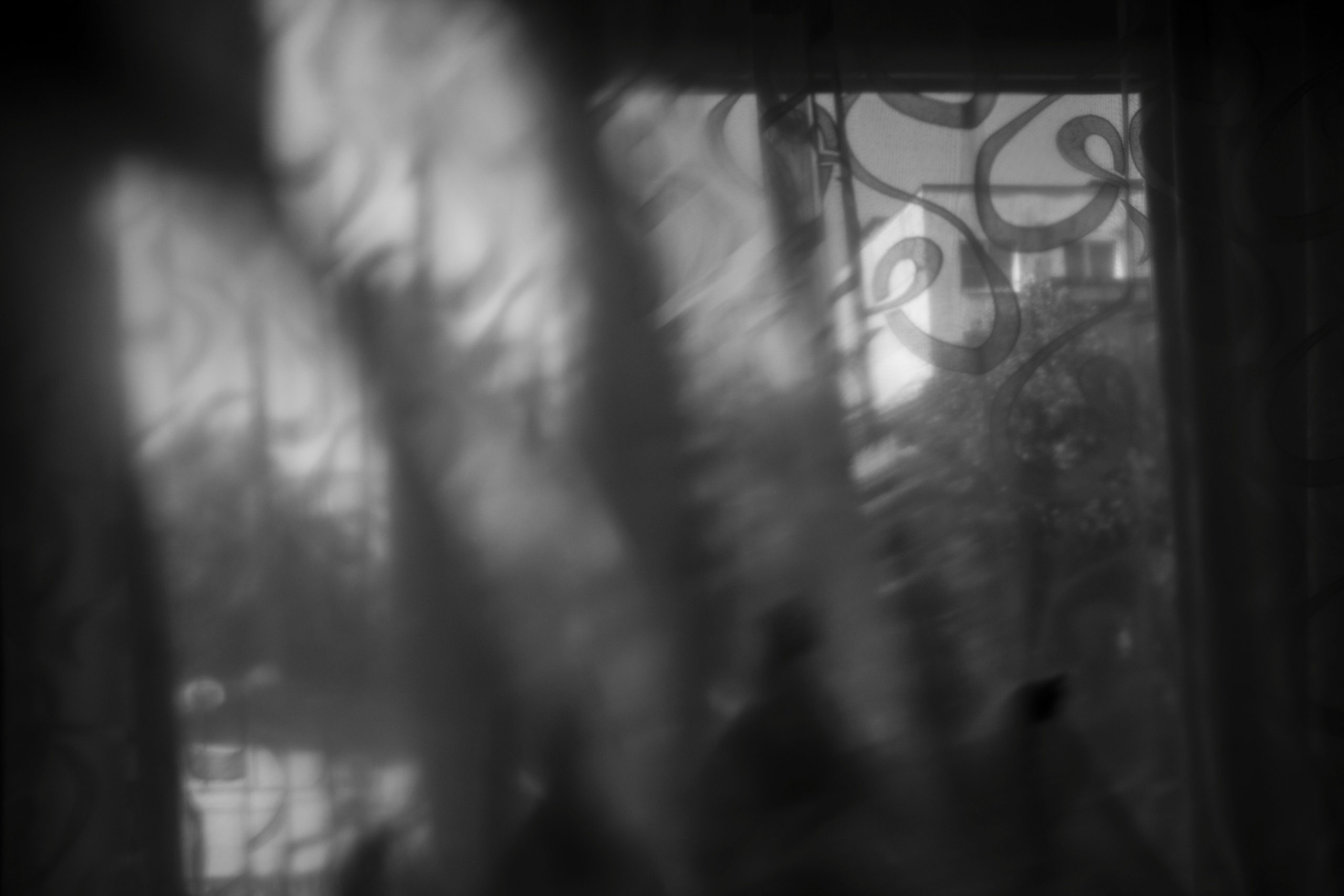 Listen to the silence (2018 — in progress). Julia Gorbunova