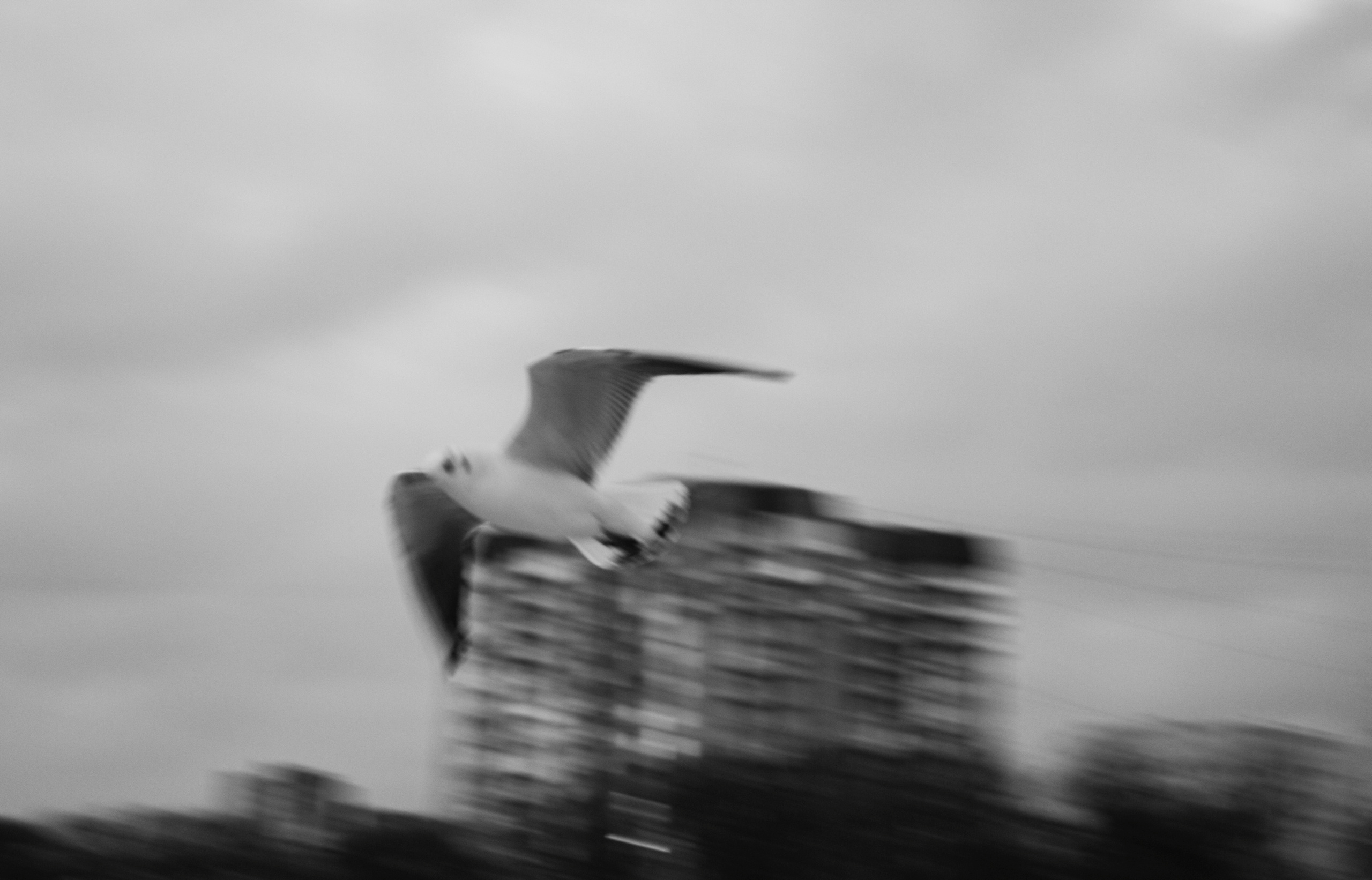 Endless season. Julia Gorbunova