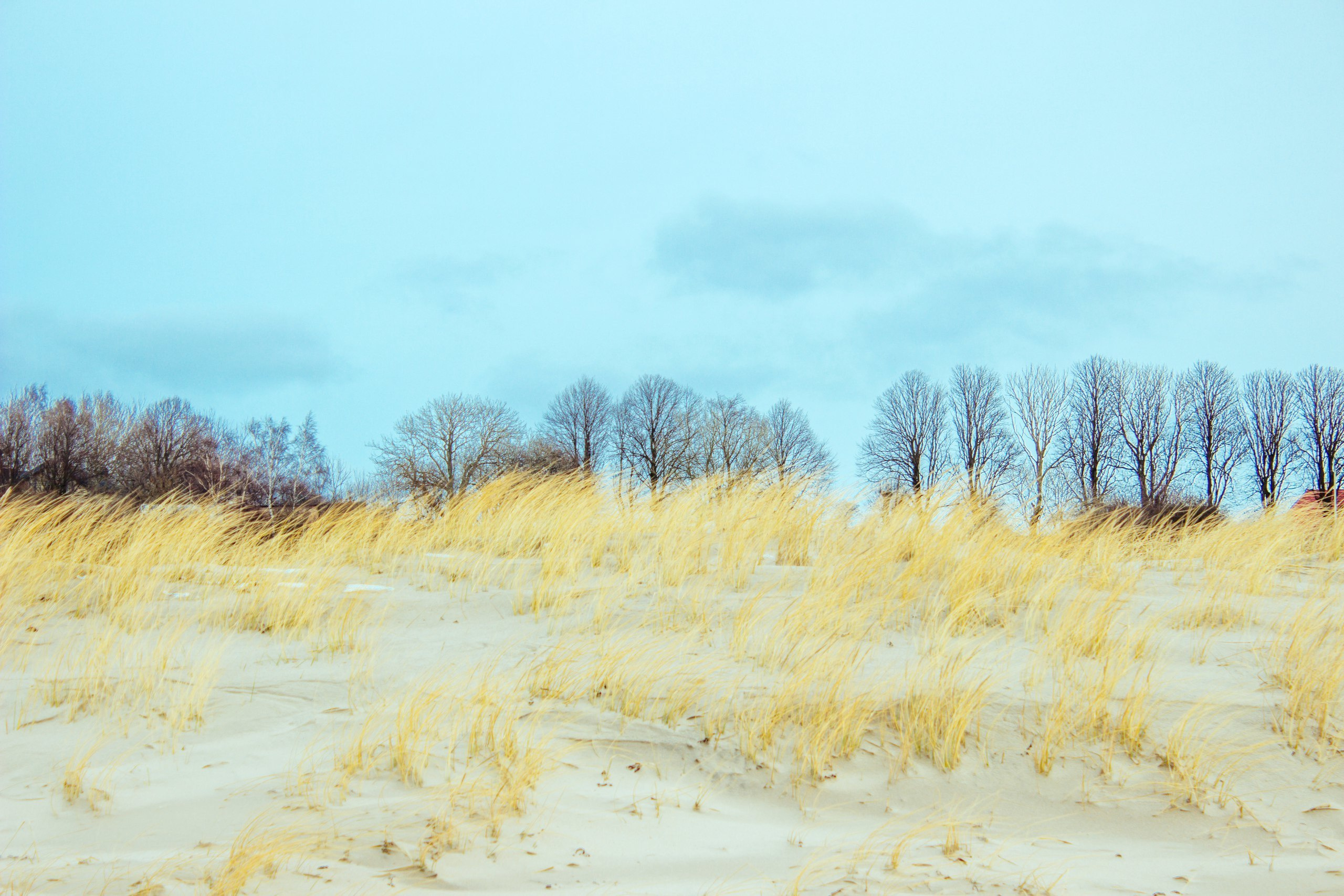 Color. Julia Gorbunova