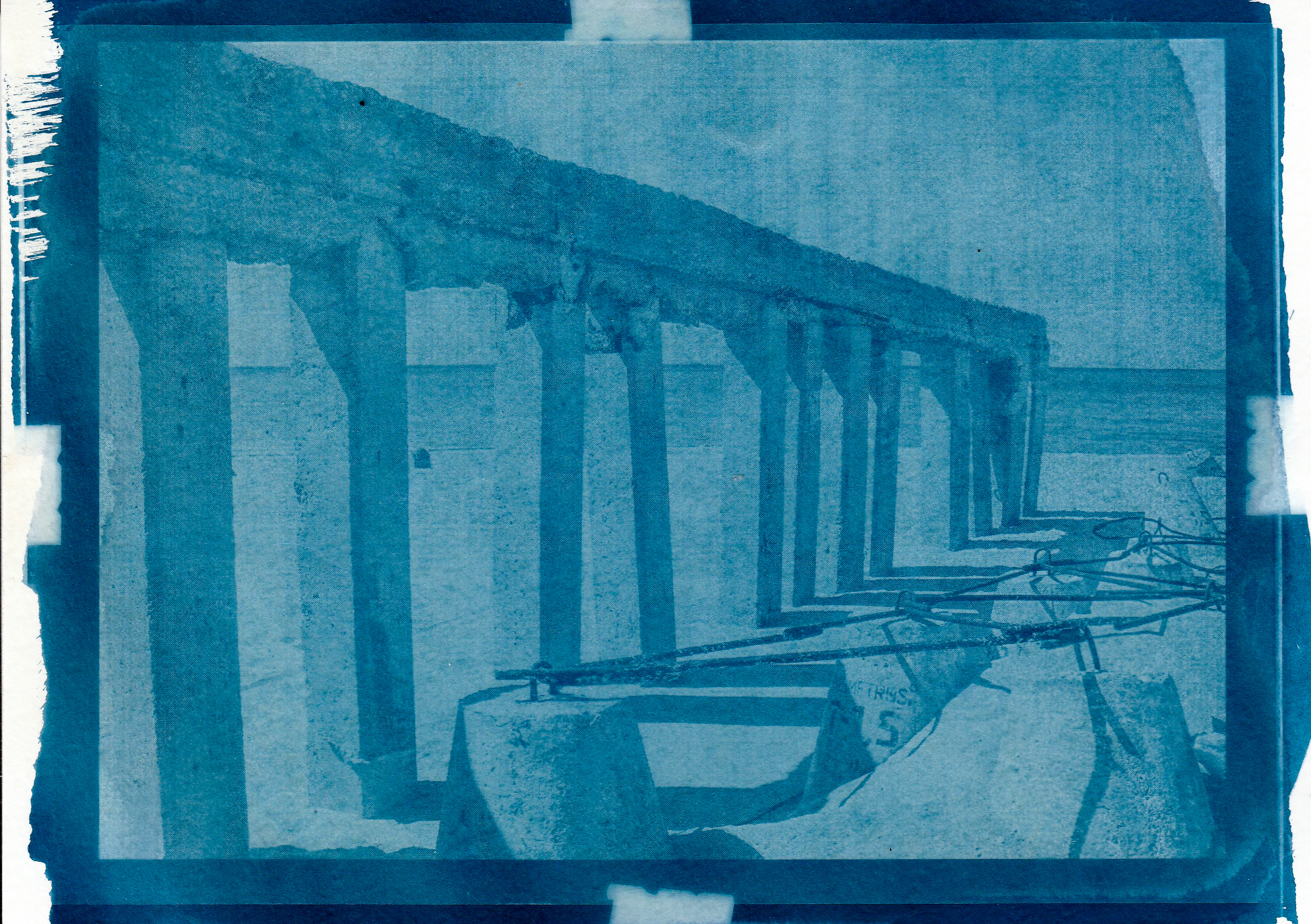 Cyanotype. Julia Gorbunova