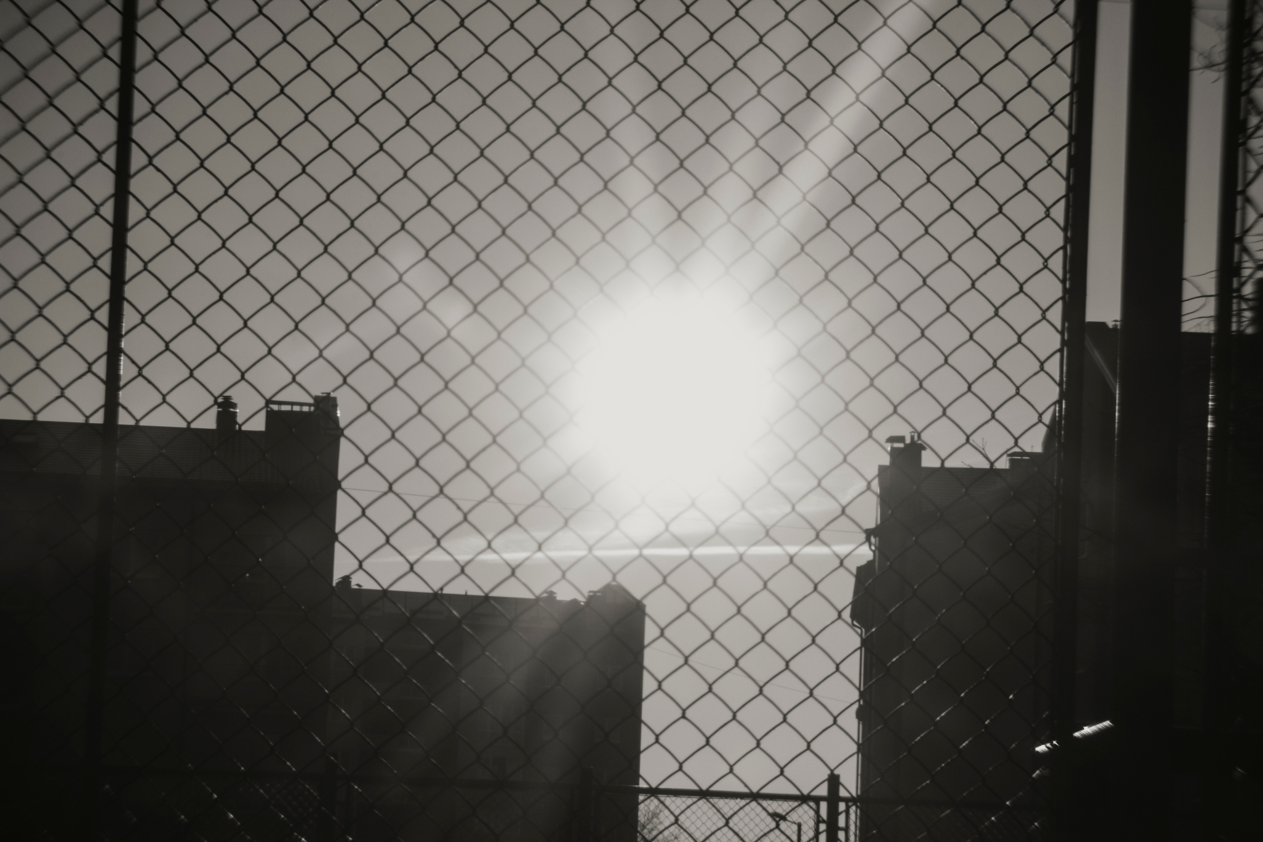 Black-white. Julia Gorbunova