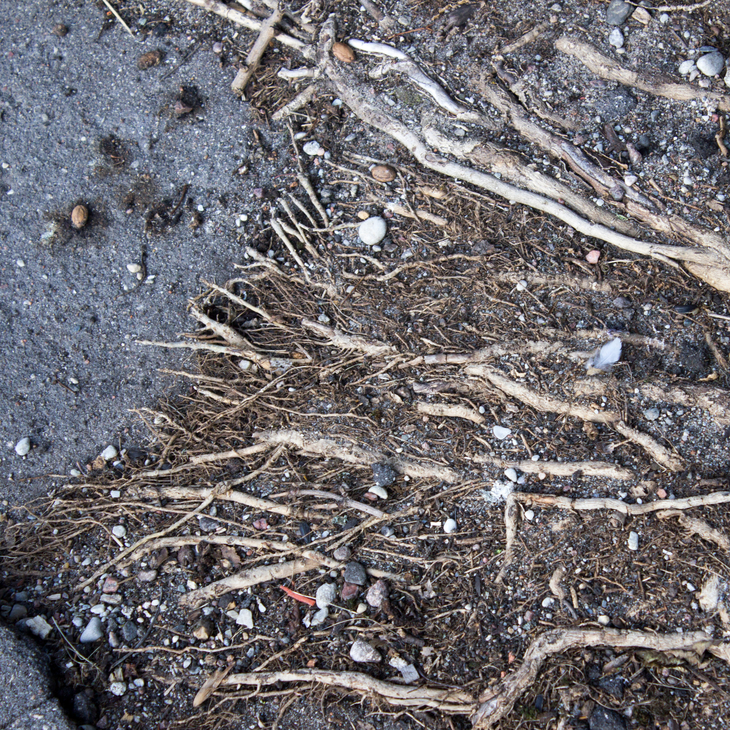 Substantia terrae (2017 — in progress). Julia Gorbunova