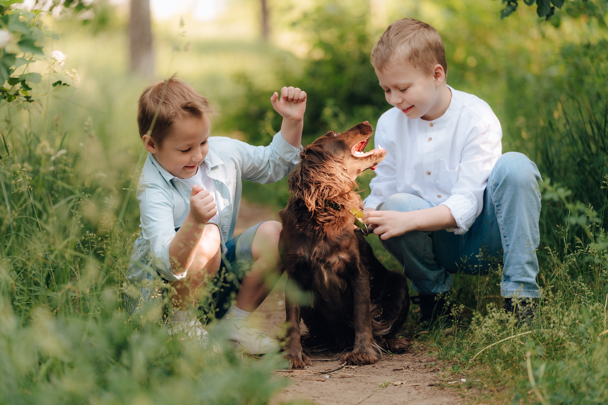 Братишки. Детский и семейный фотограф Катерина Мишина