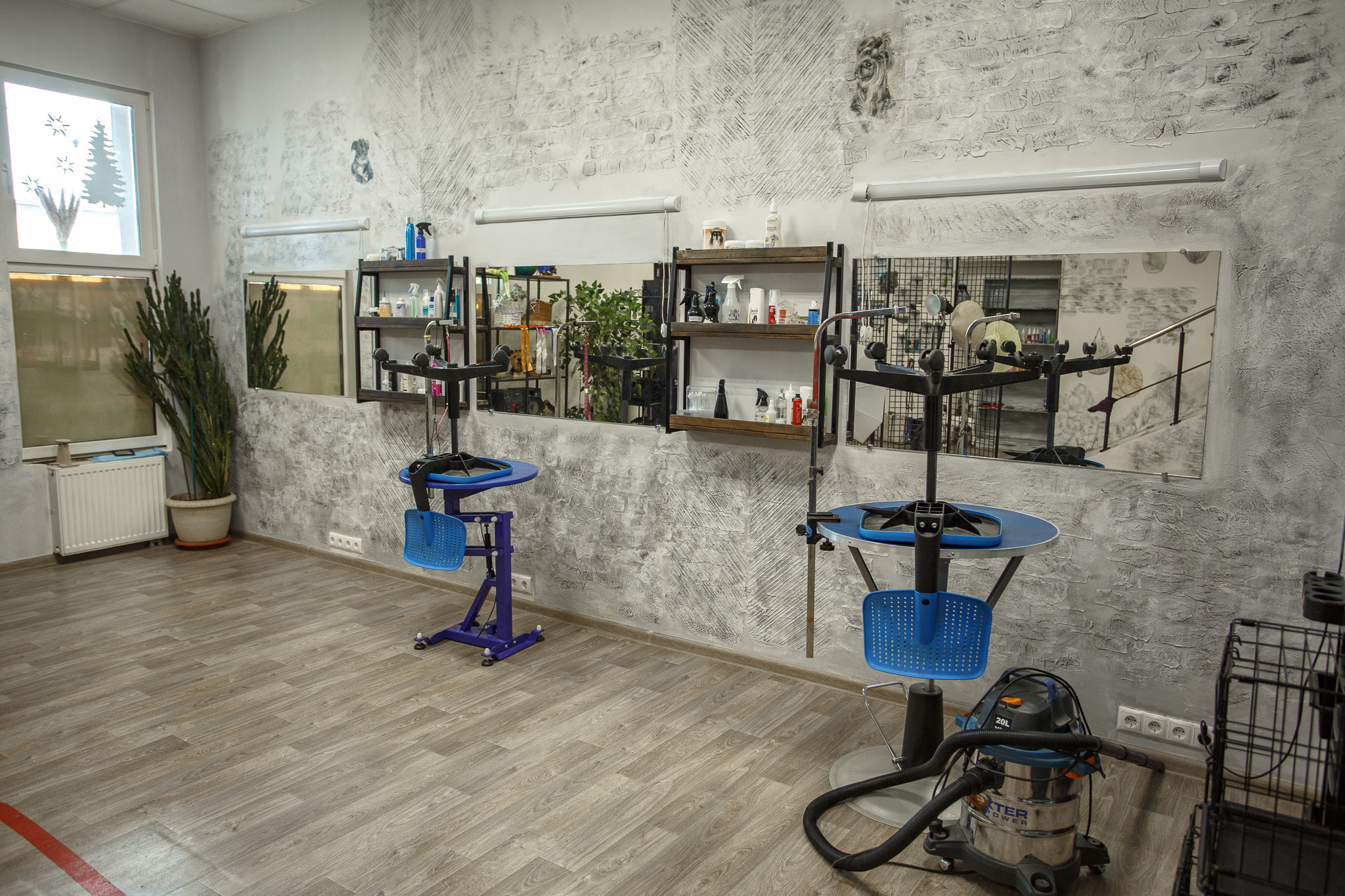 Новости. Зоосалон Грейси Дмитров