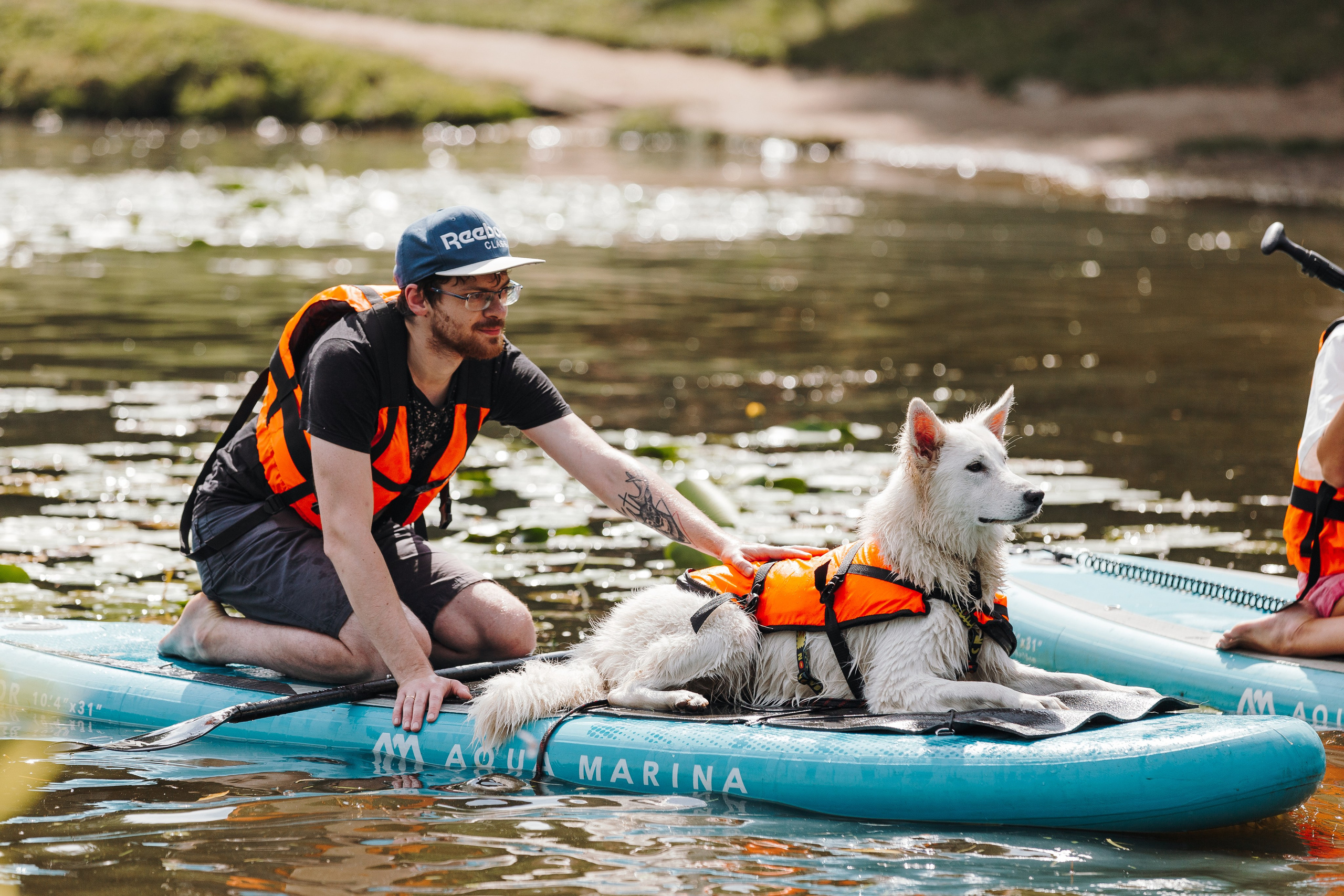 Petshop Sup day. Фотограф анималист Кристина Карпова, Москва