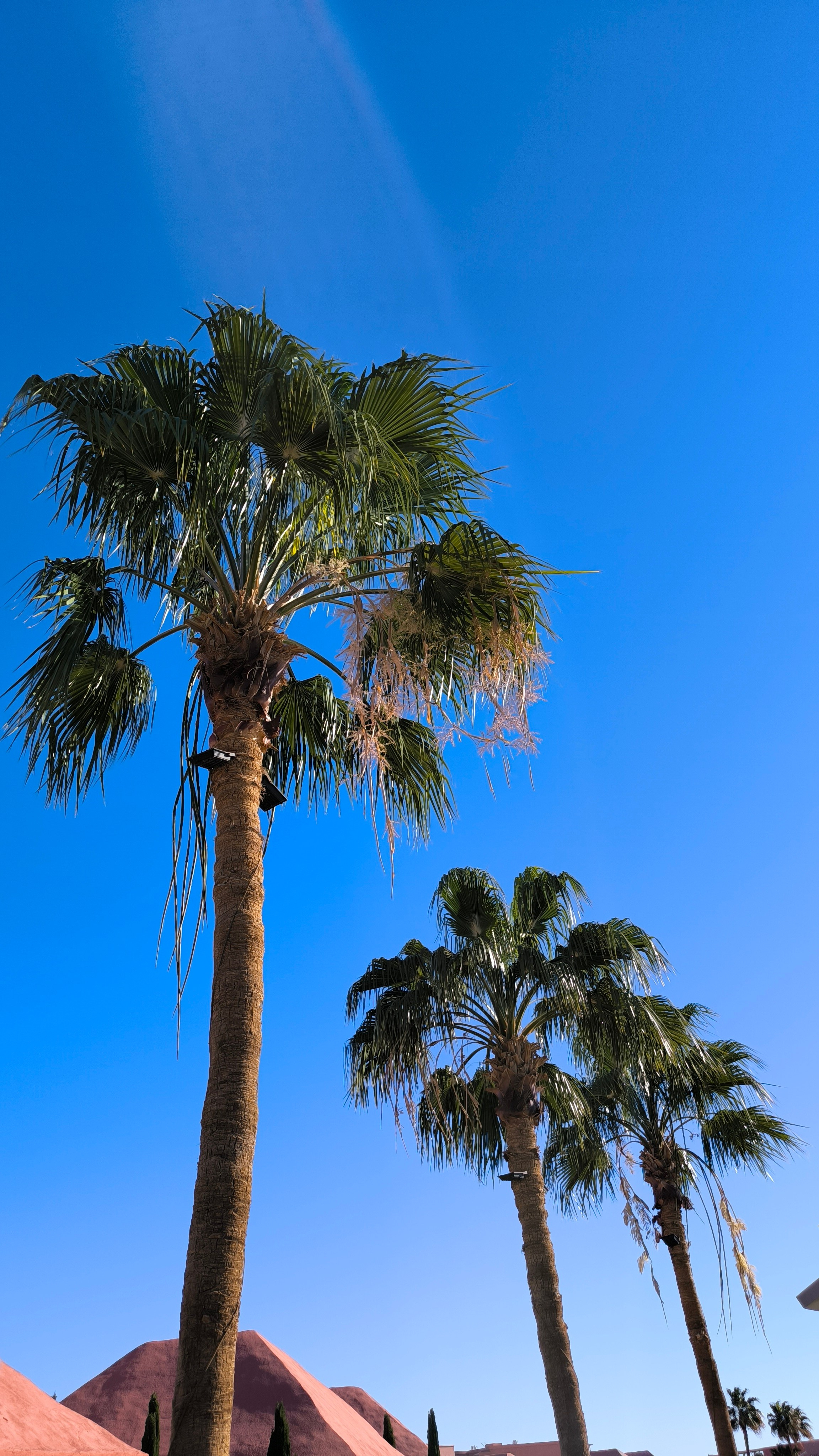 Шарм-Эль-Шейх. Светлана Иванова - профессиональный фотограф