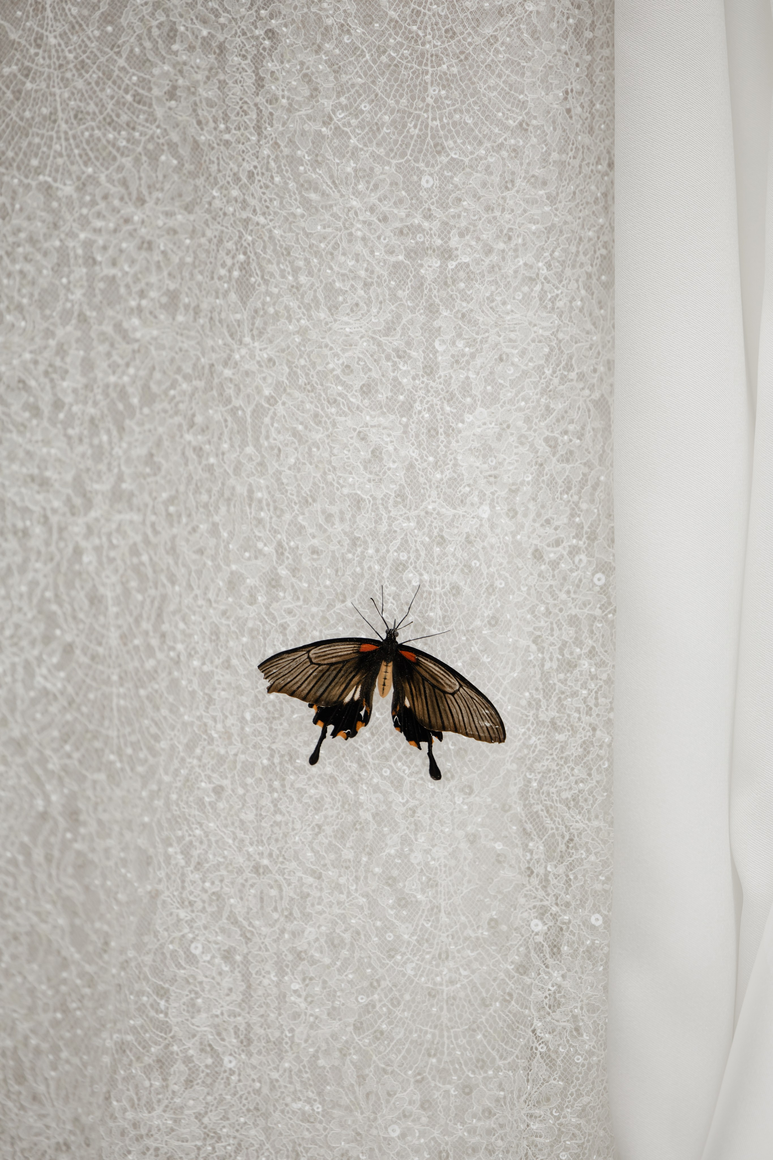 Кирилл & Анастасия. Организатор- Елена Гаманович. Главная