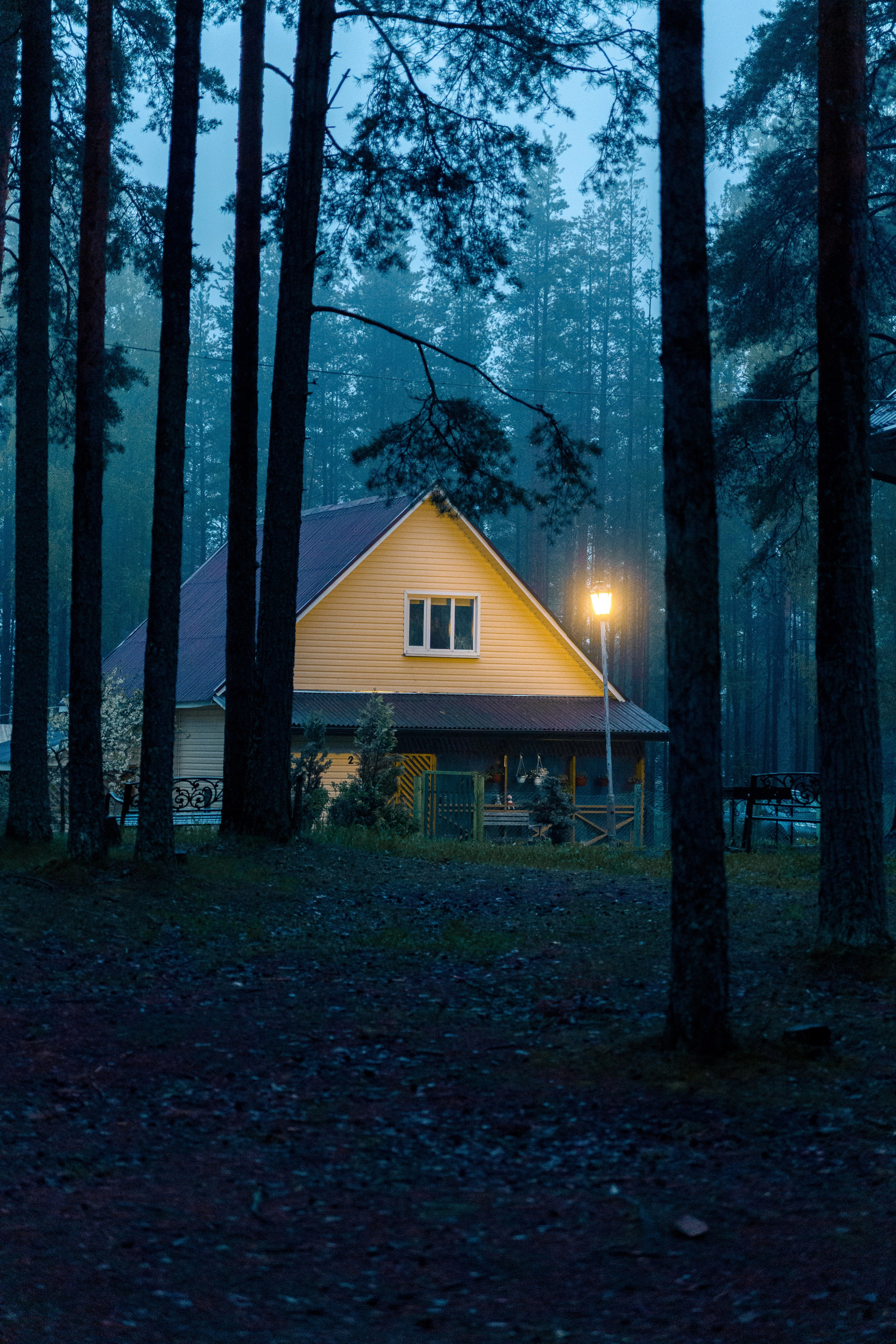 Природа. Фотограф в Санкт-Петербурге Ибрагимова Алина