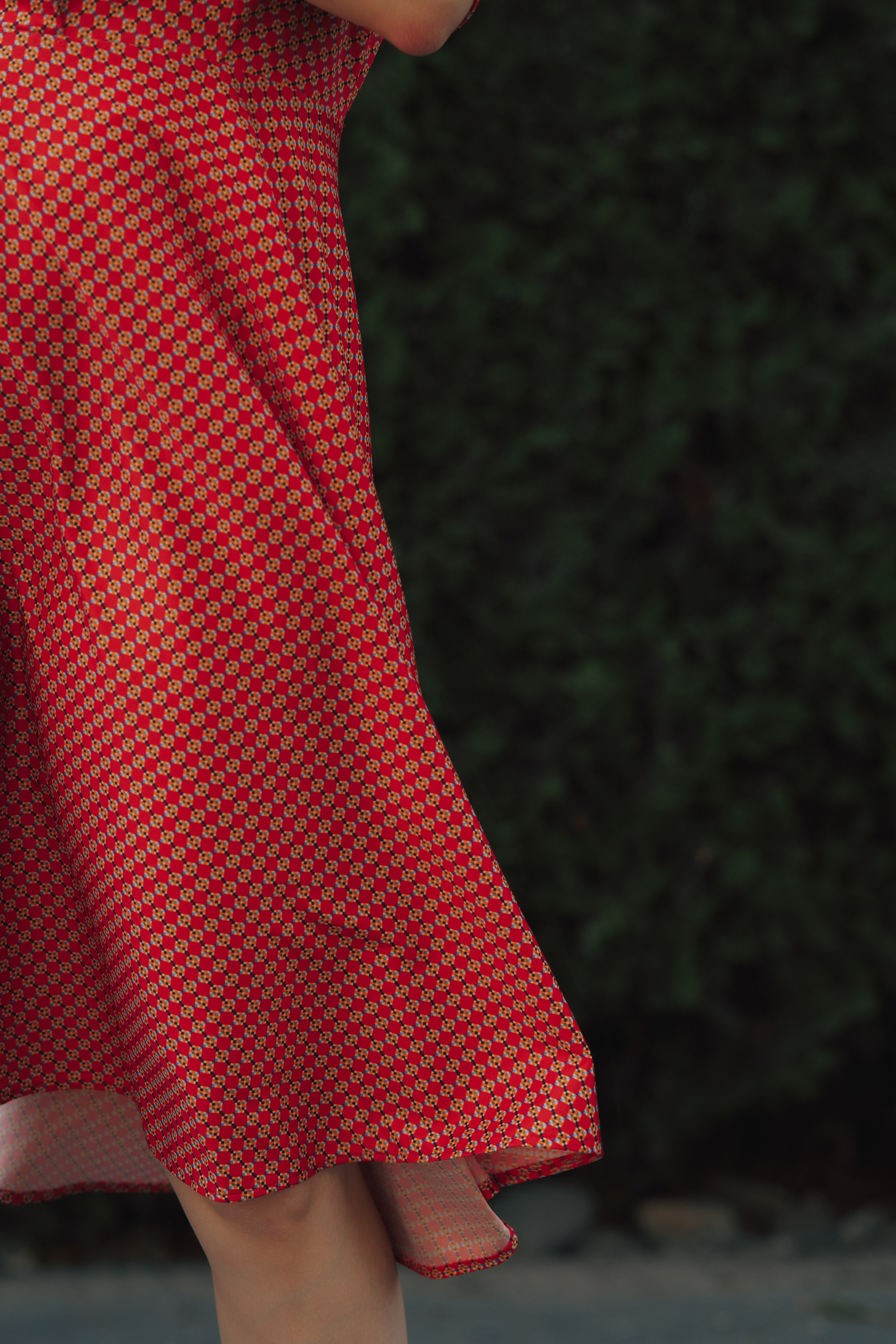 Розы. Фотограф Мария Зайчик