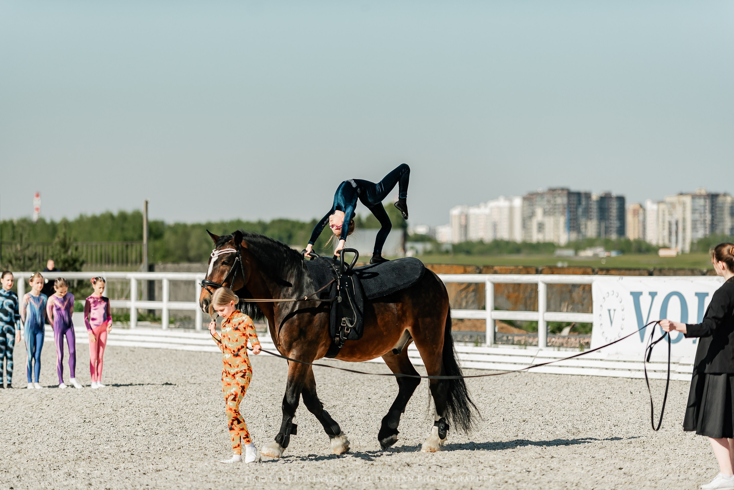 РЕПОРТАЖ МКК ВОЛЬТ «LA TULIPS». Конный фотограф Куракина Дарья • Фотосессии с лошадьми