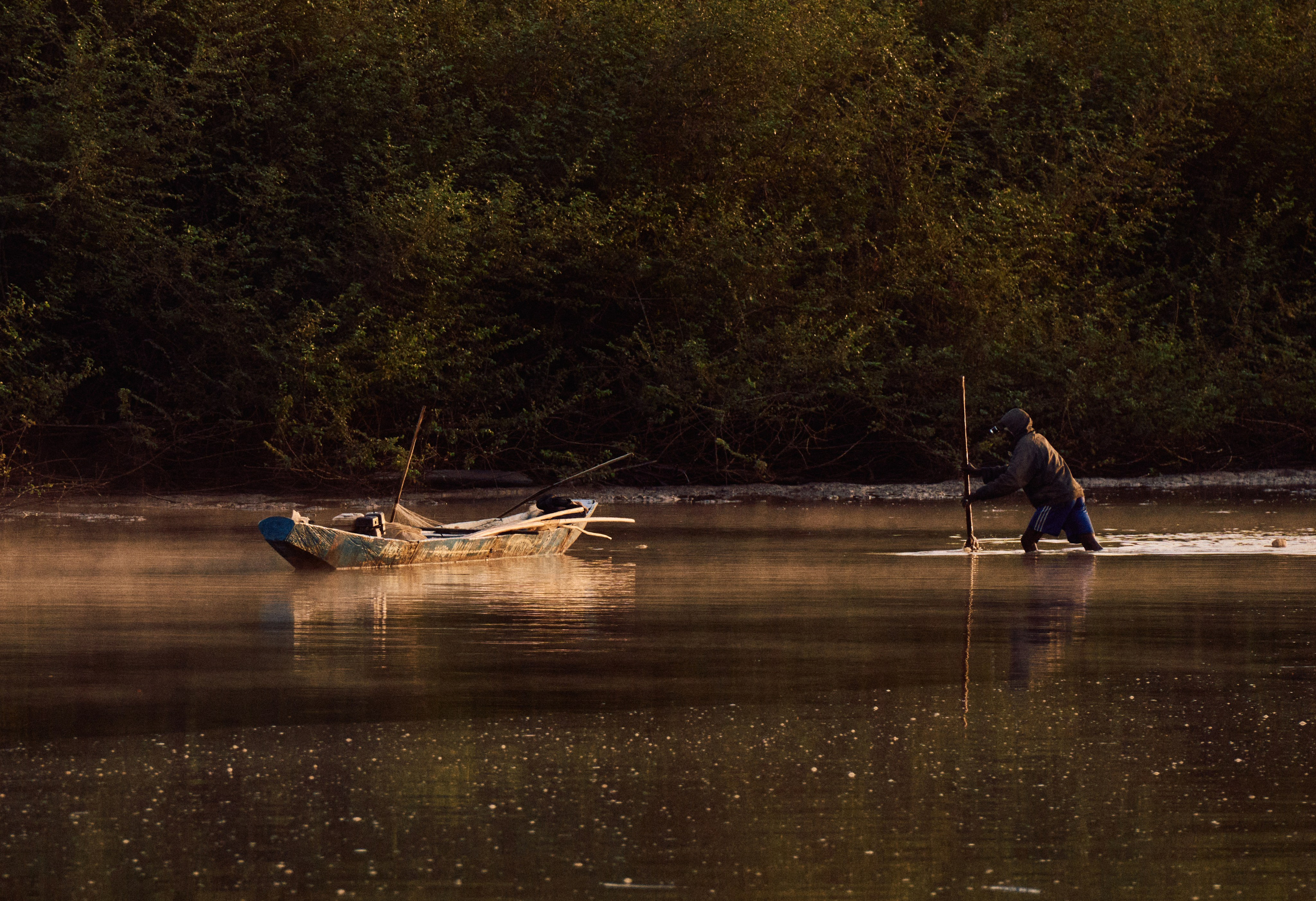 Gambia River. See the moment and catche. commercial and reportage