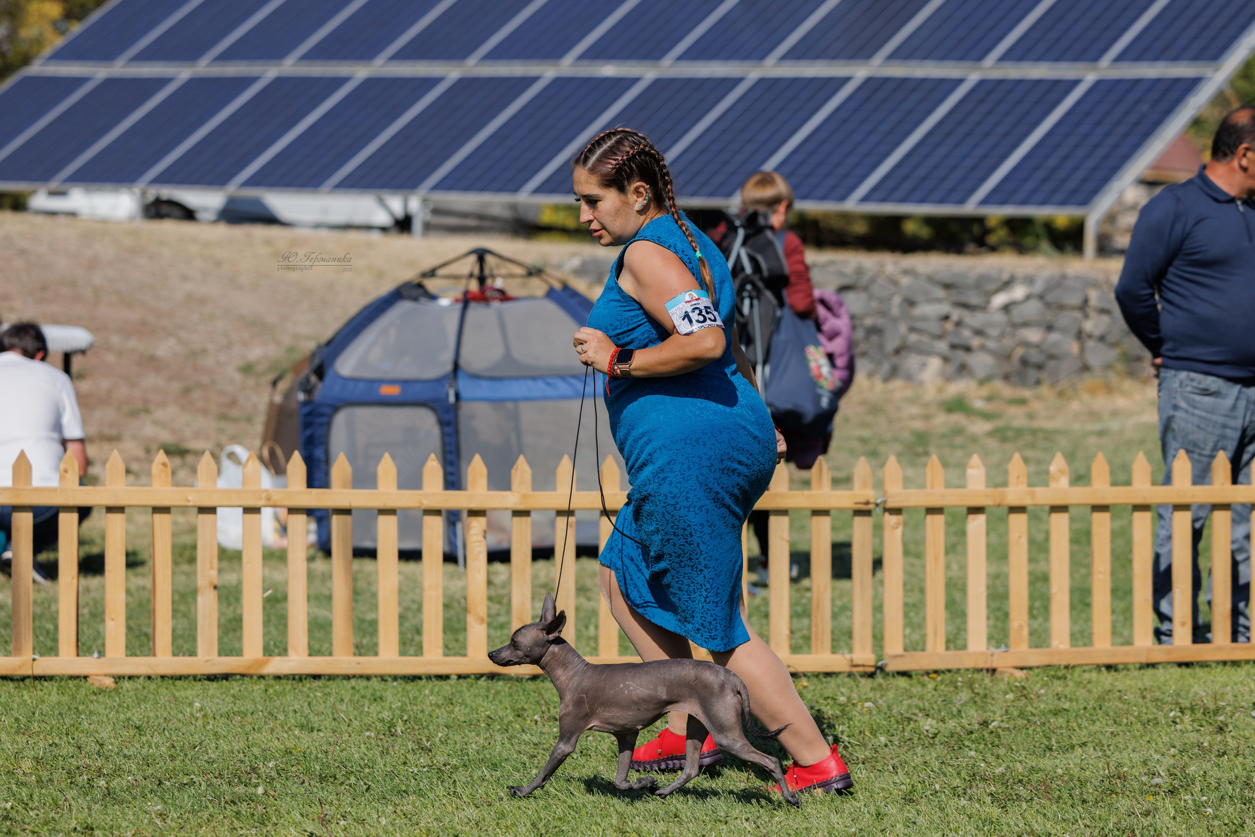 Ереван 14-16.10.2025. Фотограф-анималист Юлия Германика