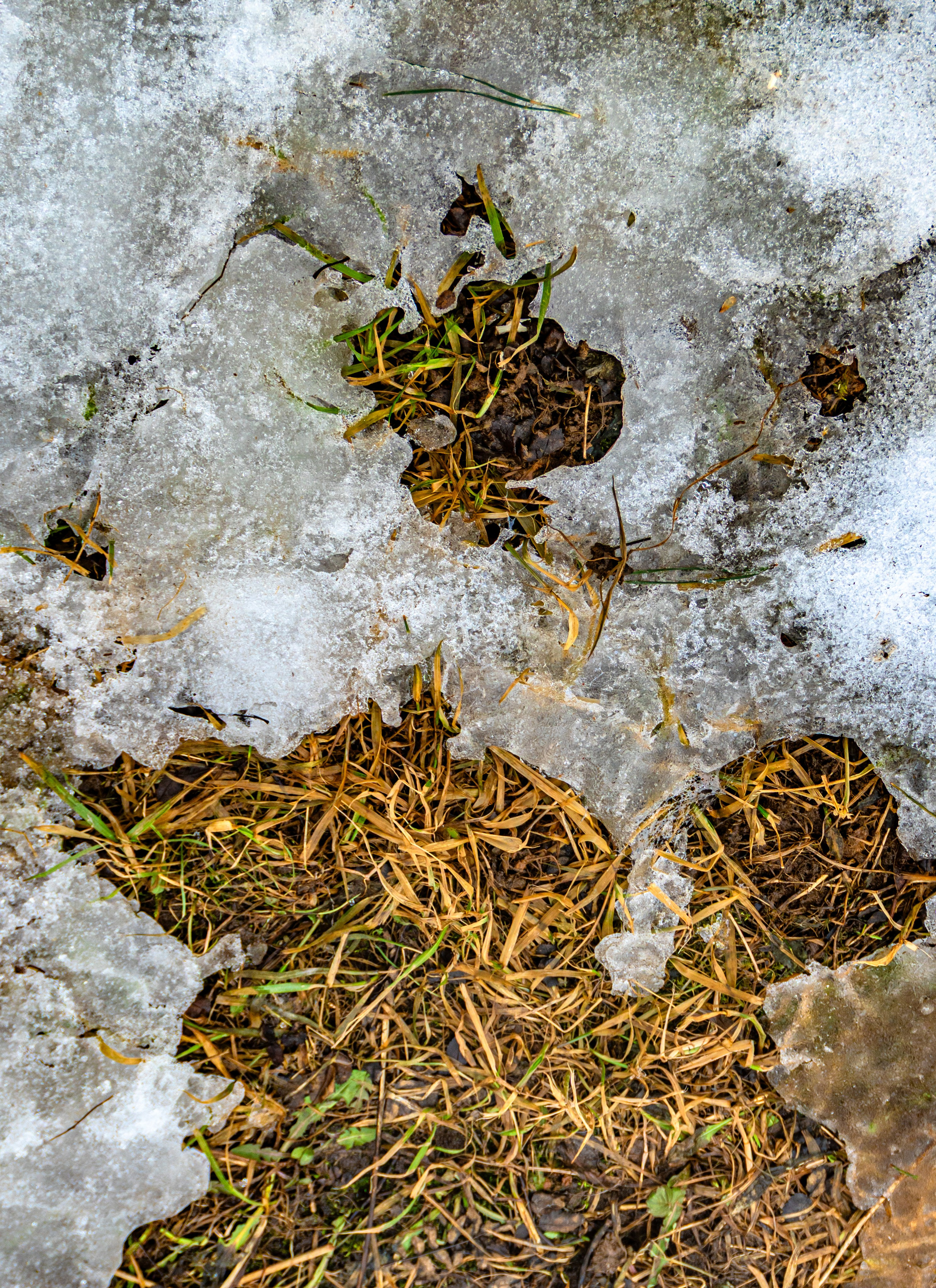Уличные кадры. Фотограф в Ижевске Мария Романова
