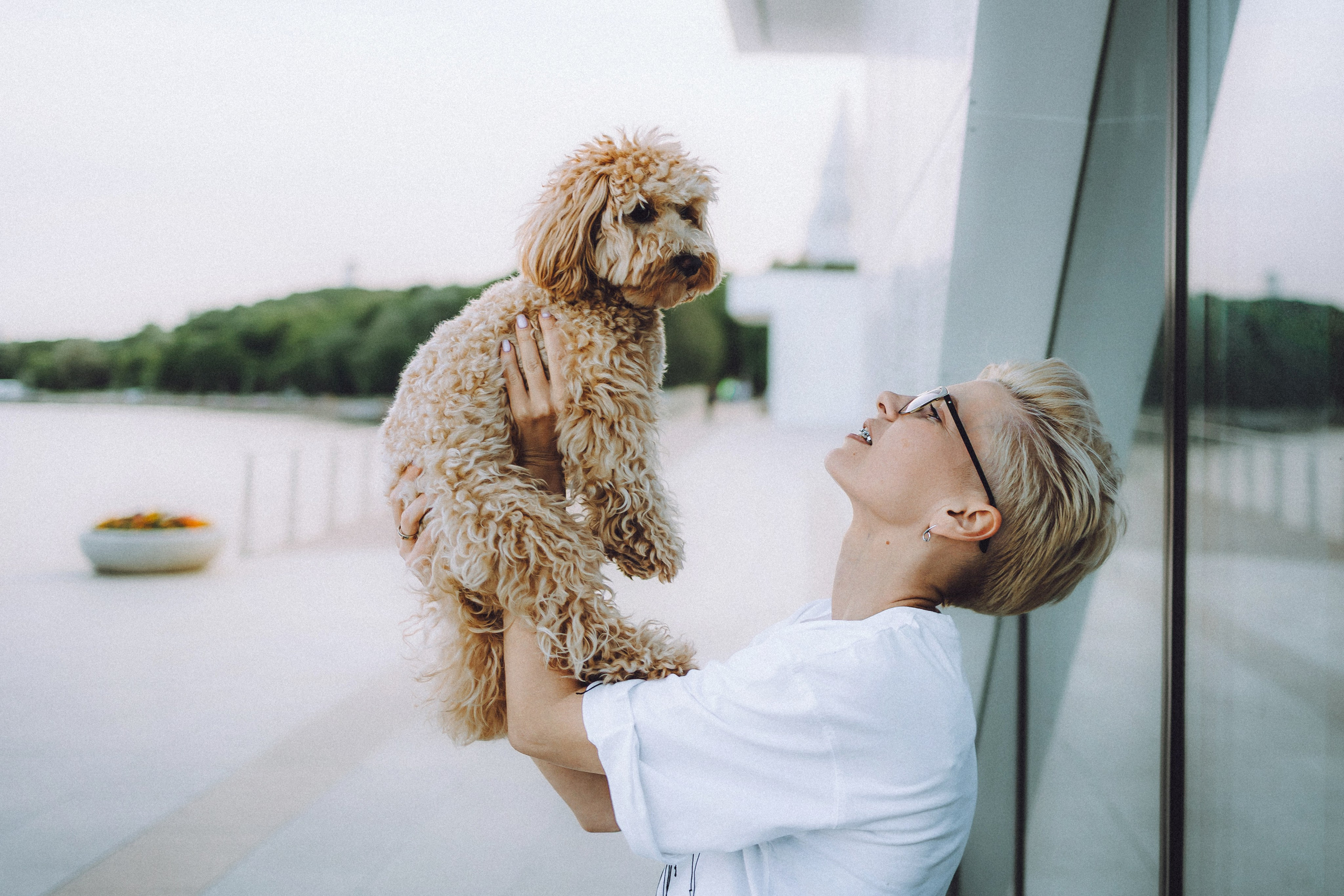 Фред и его семья