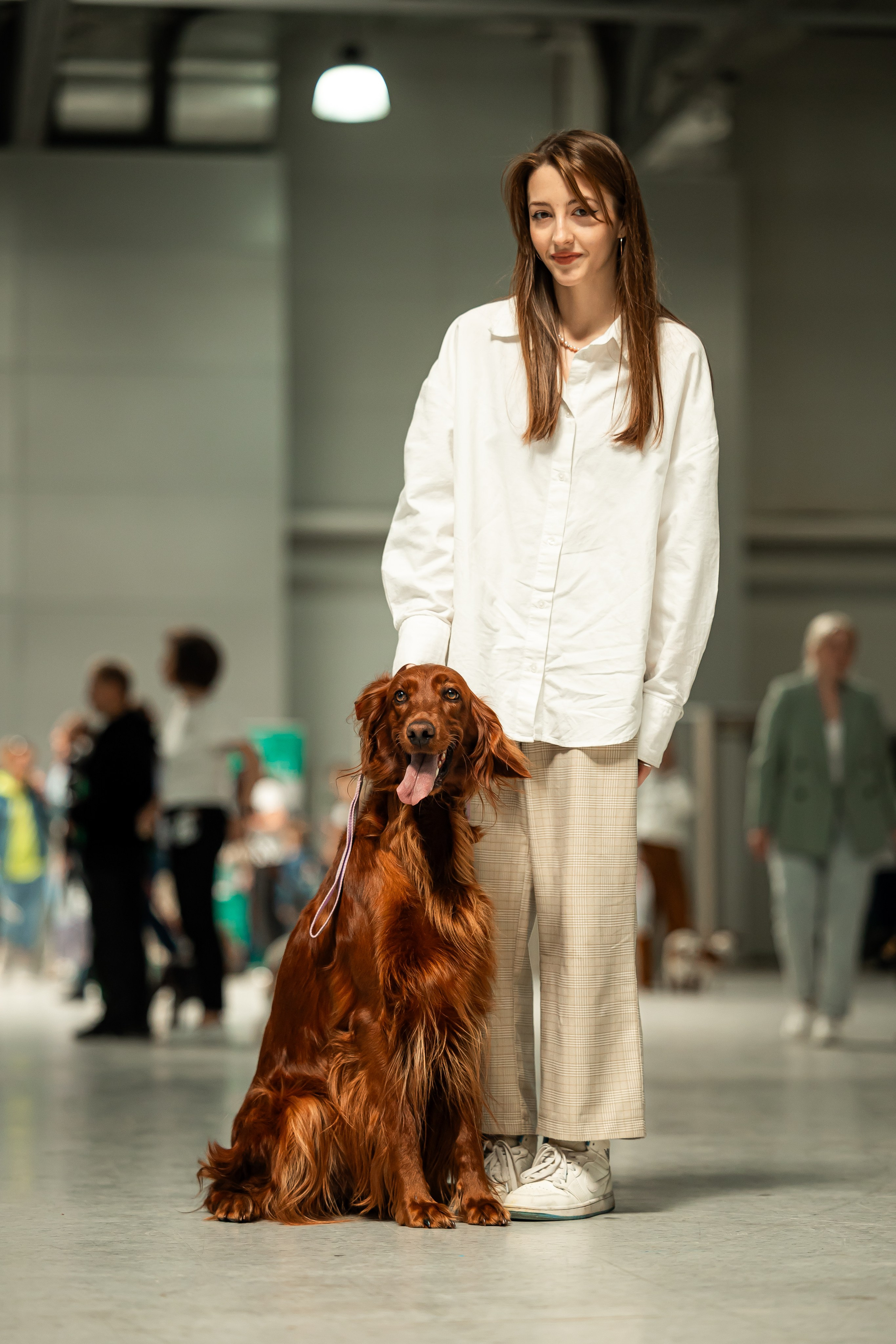 Выставка сеттеров 19.05.24