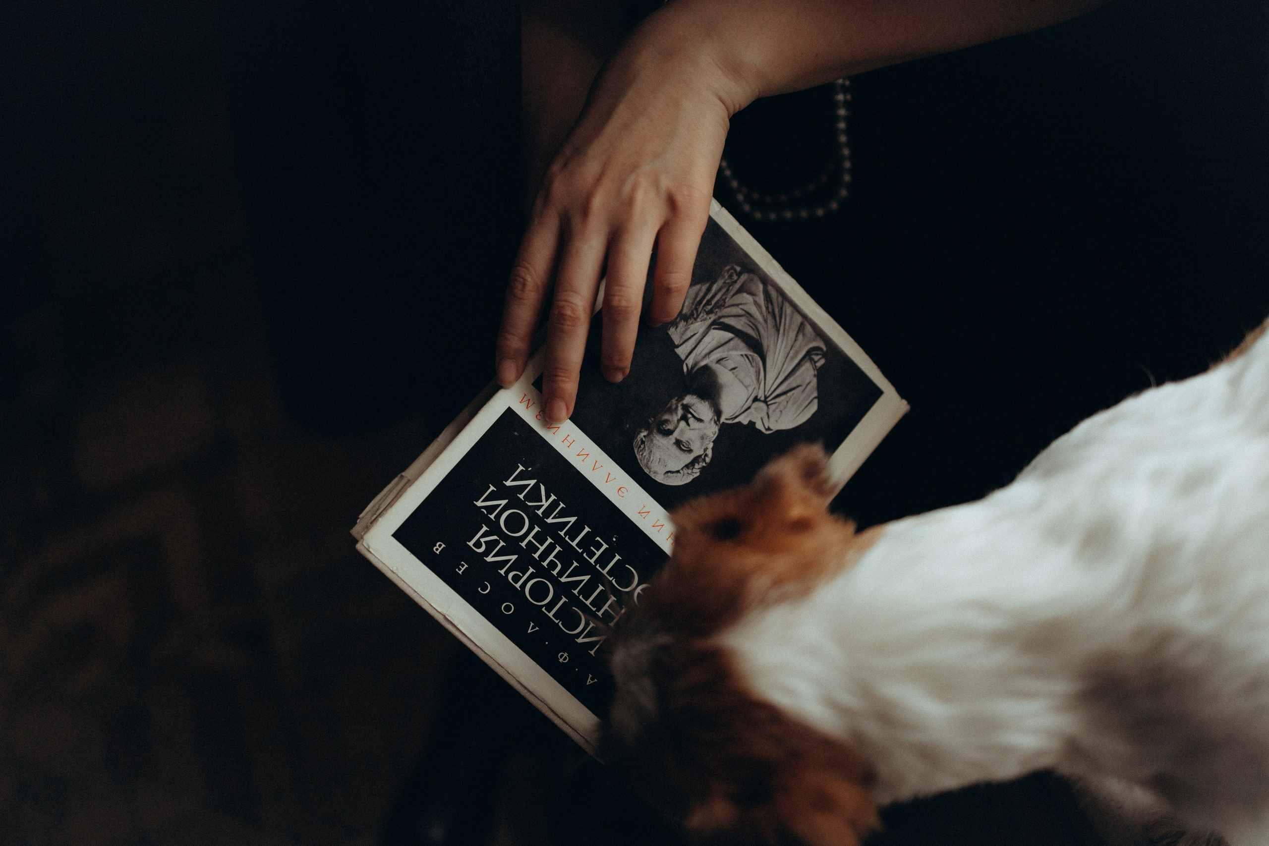 Маша и Фалафель. Фотограф Москва Алёна Суворова