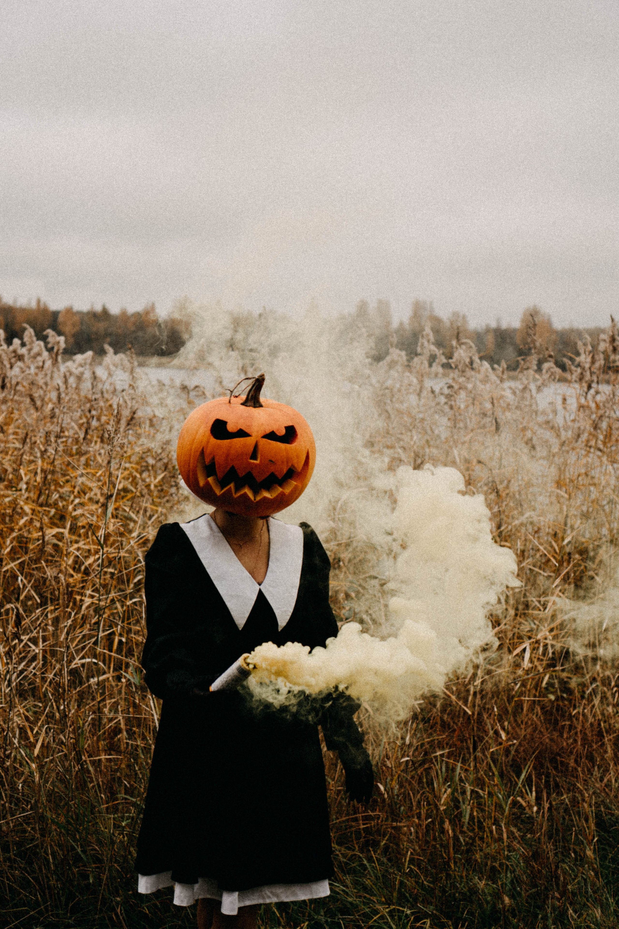 Осеняя. Профессиональный фотограф, Санкт-Петербург — Виктория Богомолова