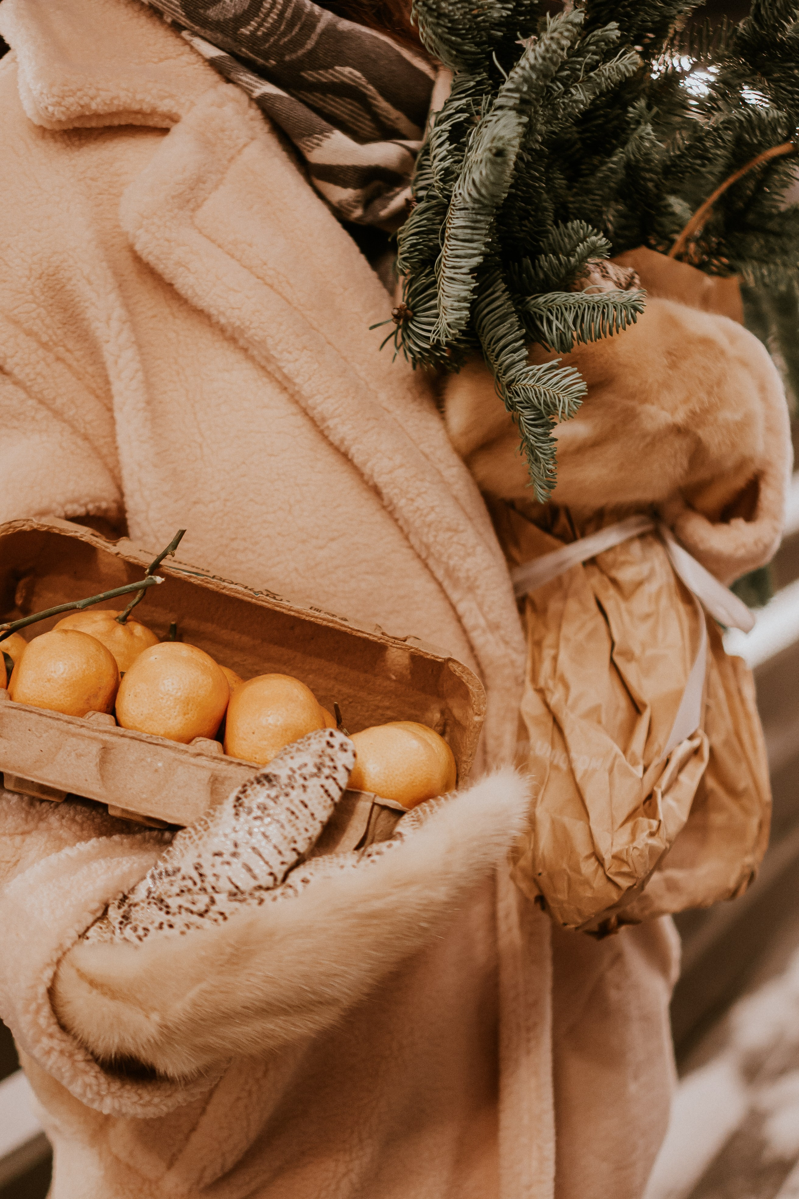 Зимняя сказка в Новой Голандии. Профессиональный фотограф, Санкт-Петербург — Виктория Богомолова