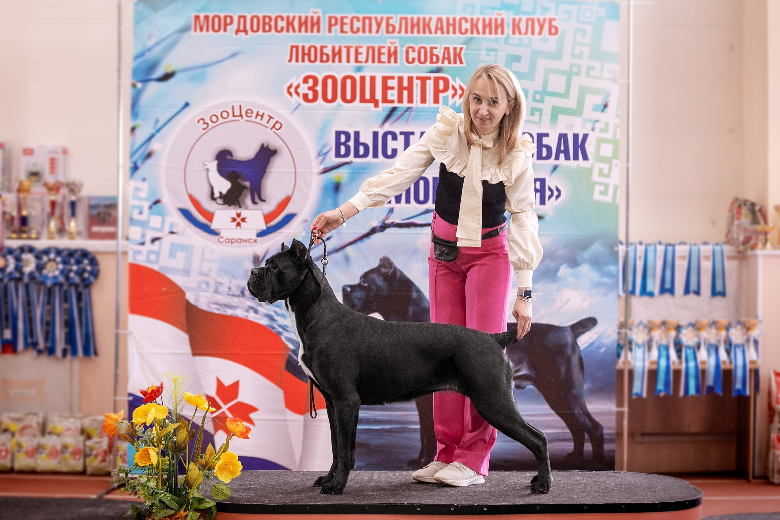 В ринге. Фотограф анималист Кузнецова Анна Нижний Новгород