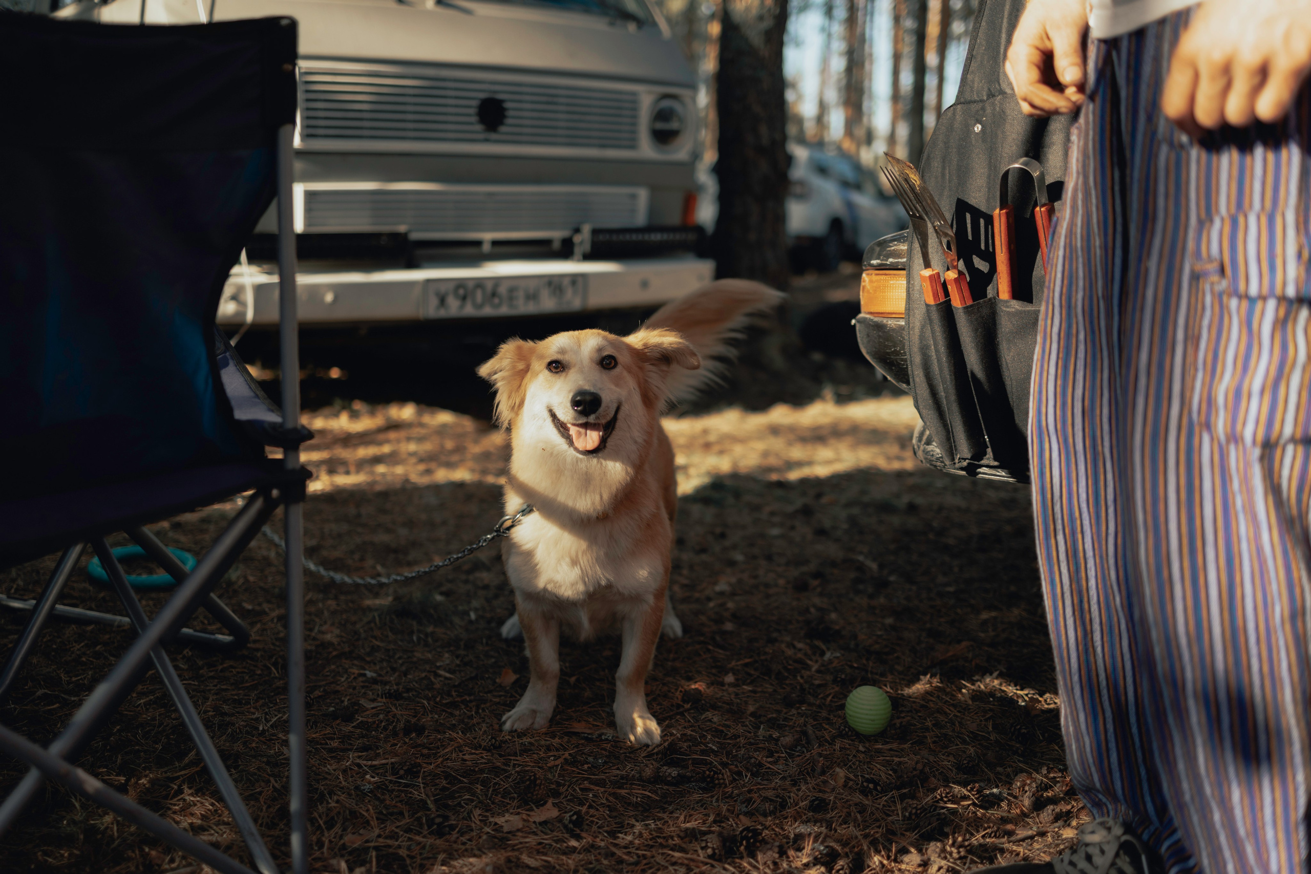 Фестиваль Hello Camper закрытие 2023. Репортажный и портретный фотограф в Санктпетербурге. Видиосъемка мероприятий в Санкт-Петербурге