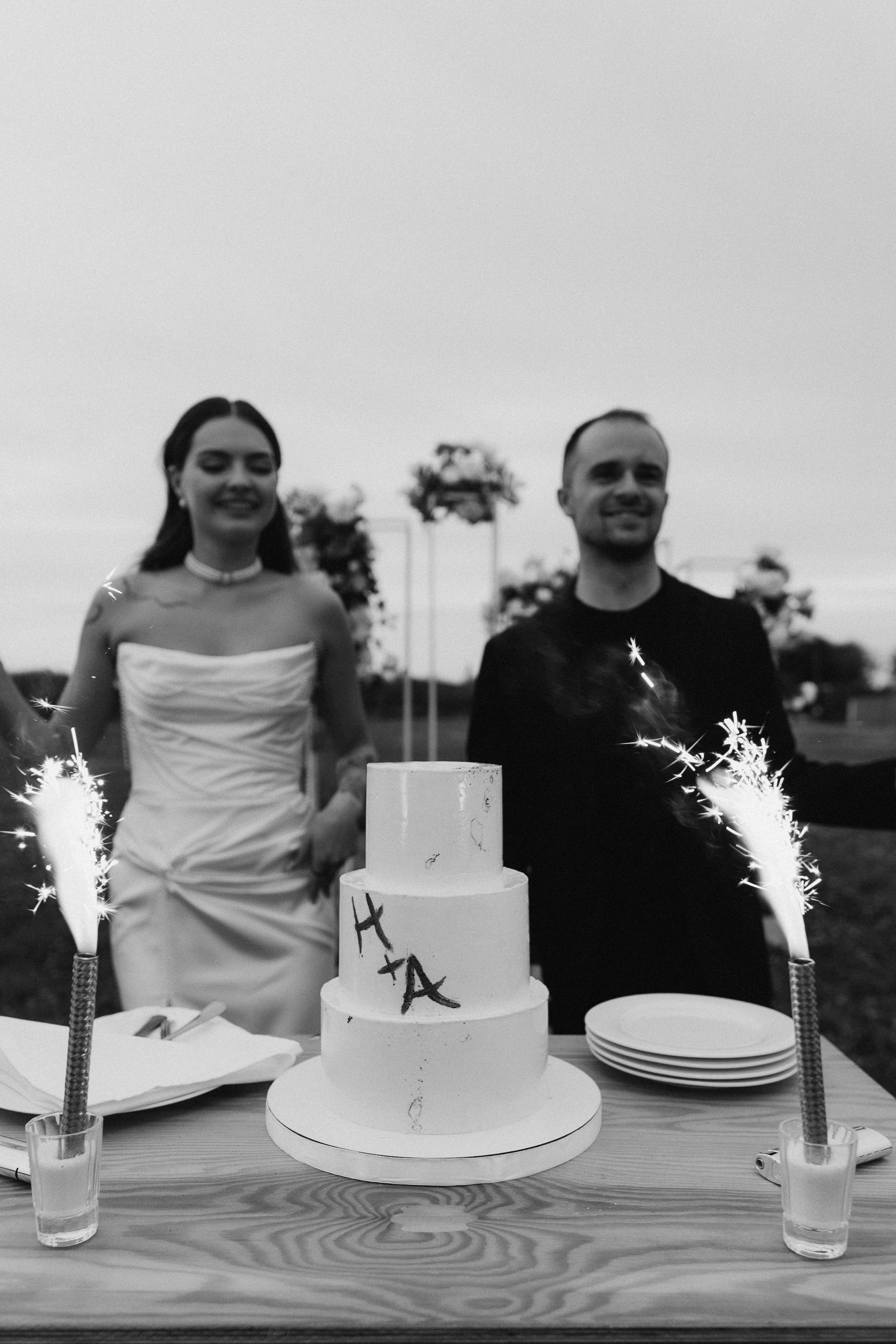 Выездная регистрация+банкет. Фотограф ПИТЕР СПБ Надежда Баранова