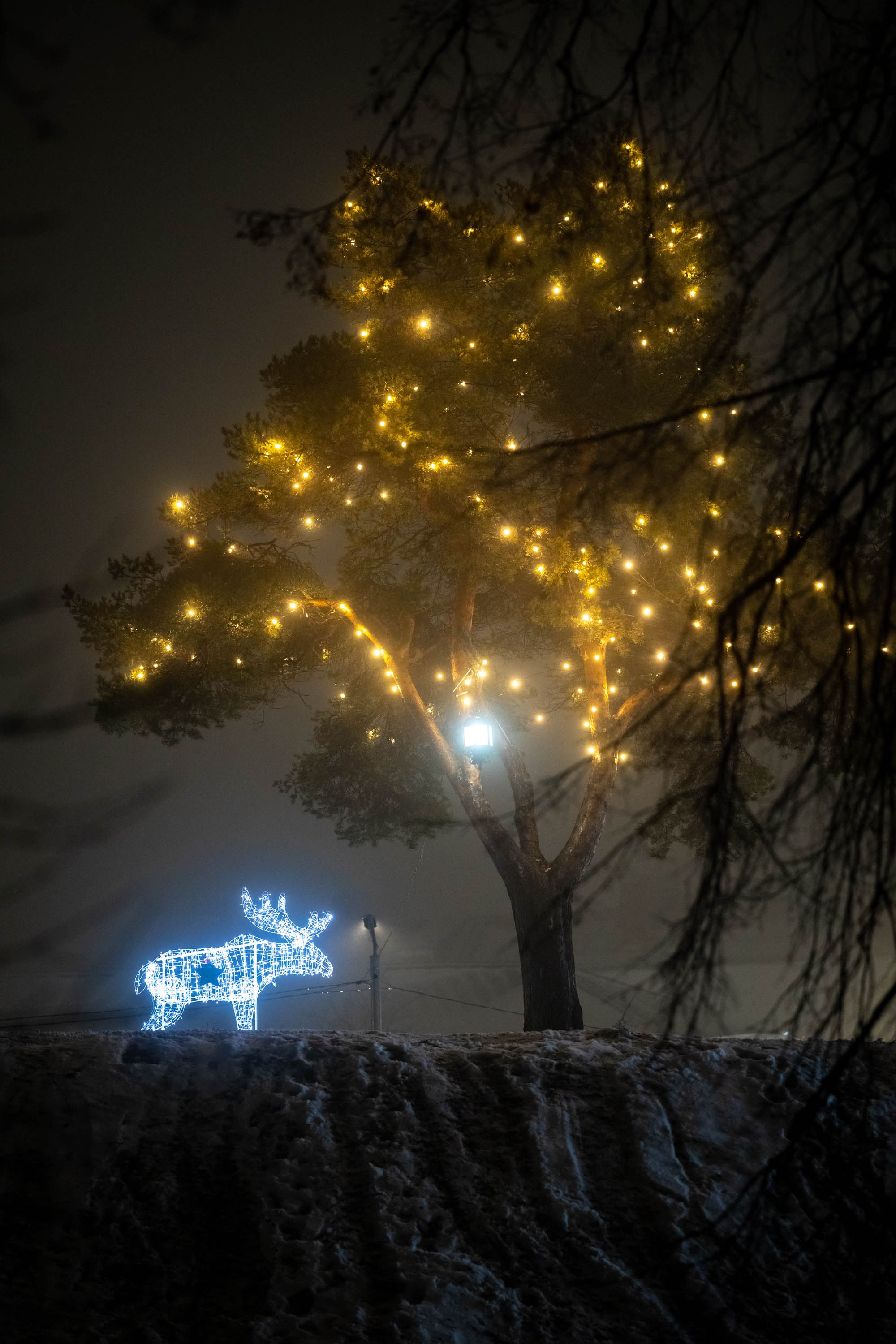 Новогодняя фотосессия в Костроме. Портретный фотограф в Костроме Наталия Клевинскас