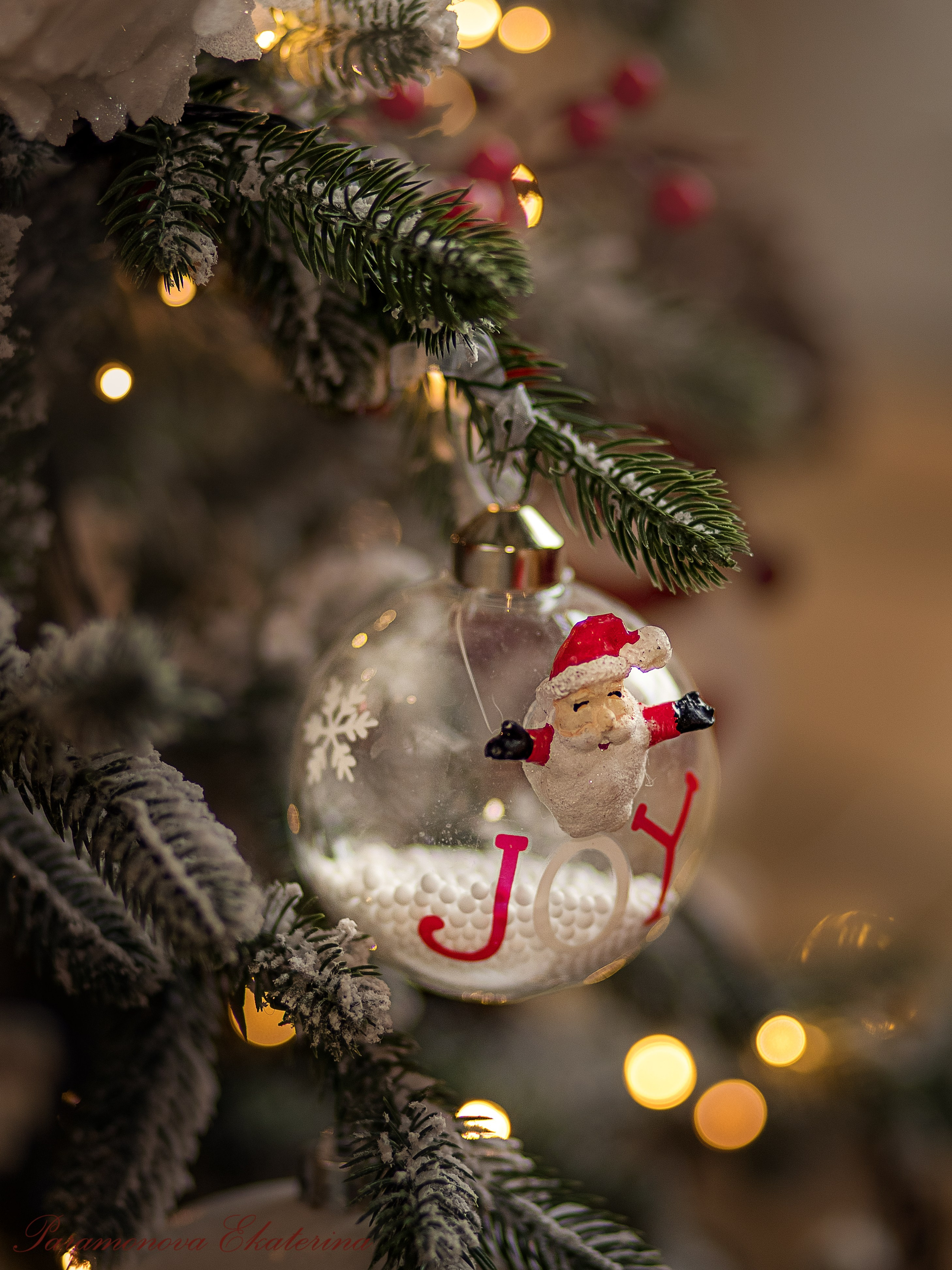 Новогодние котики. Семейный и детский фотограф В Москве Парамонова Екатерина