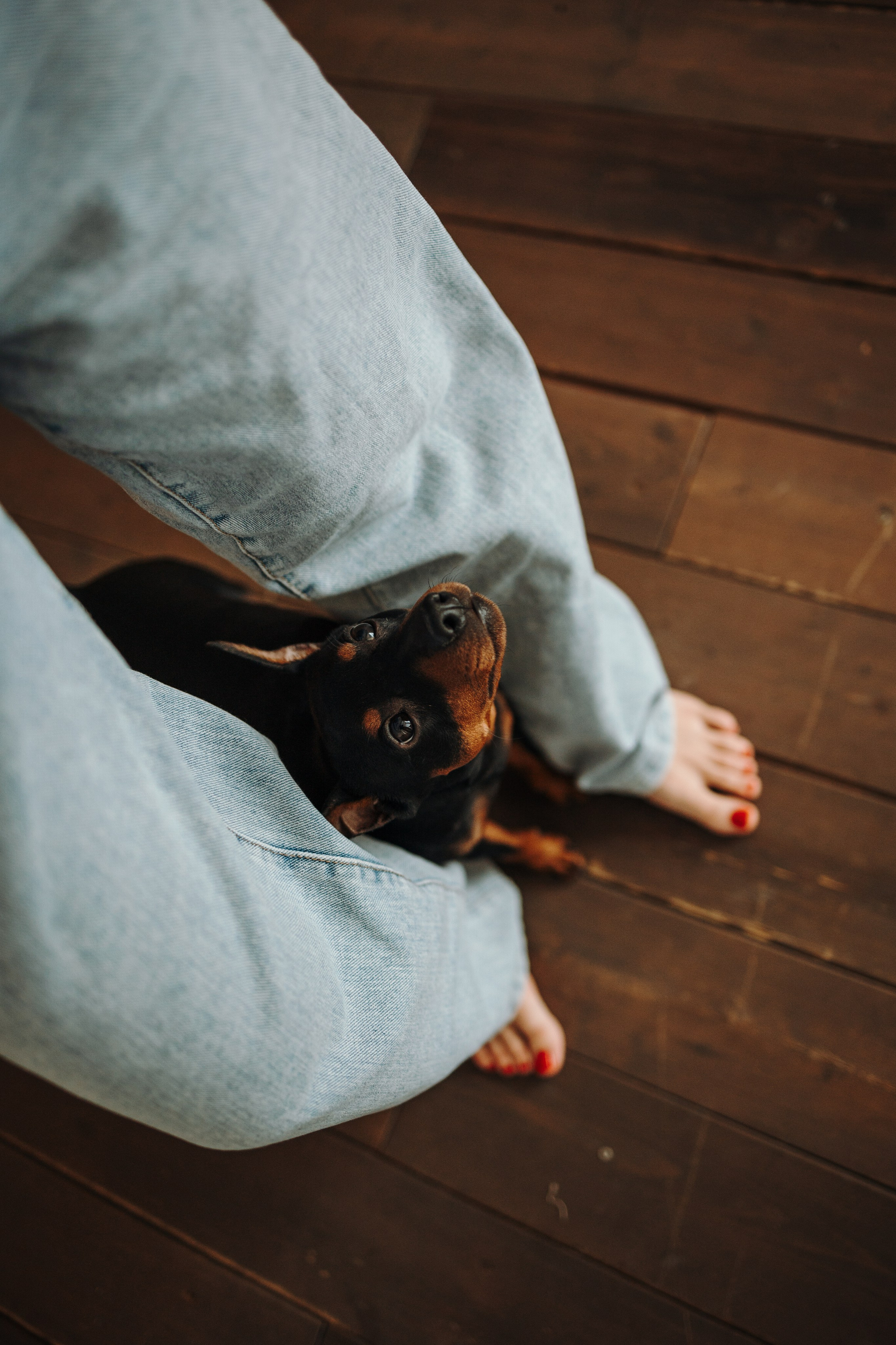 Катя и ее мальчики. Фотограф — Анималист | Санкт-Петербург