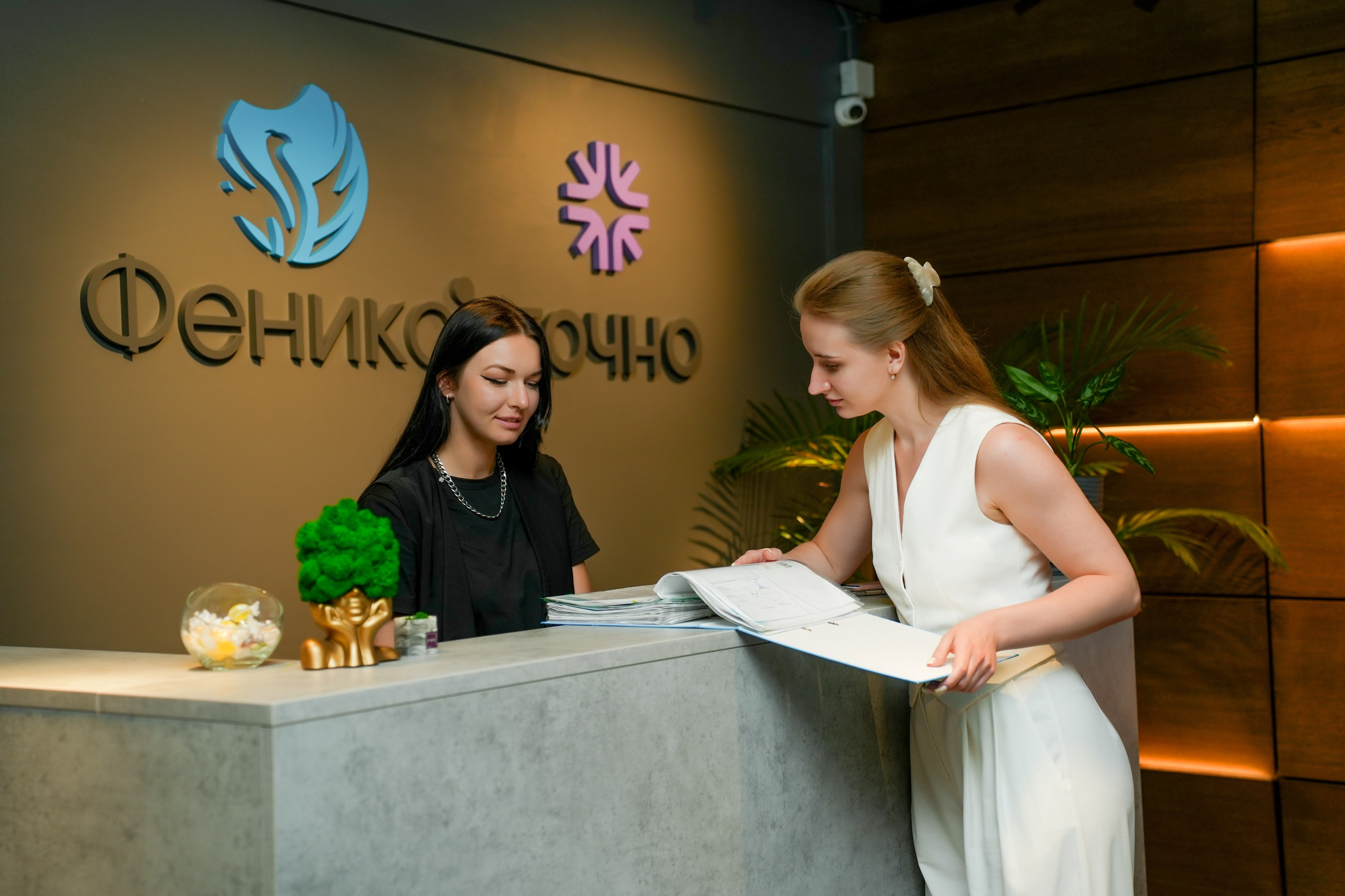 Студия и офис. Фотограф Элина Задорожная