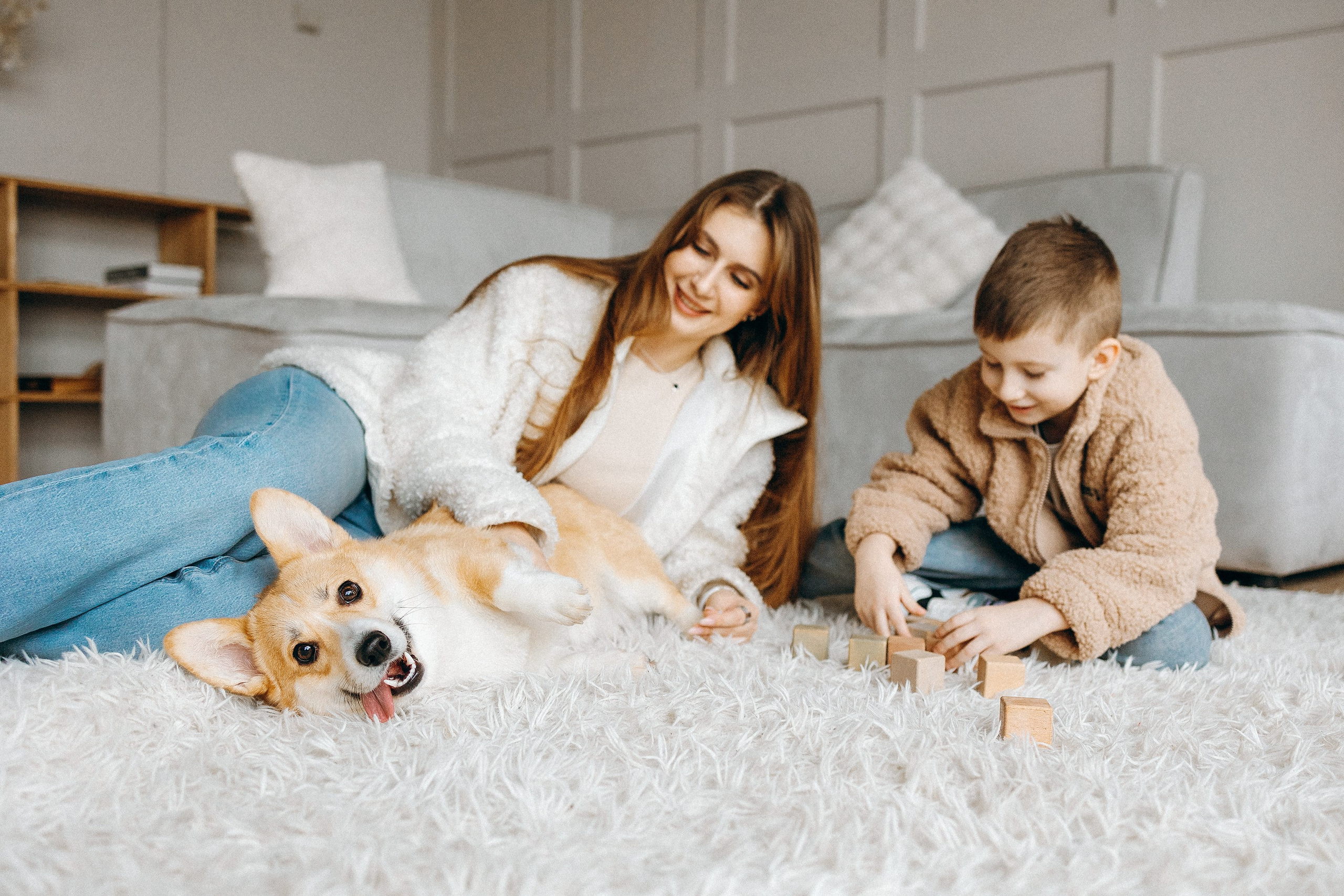 Семья с корги. Фотограф. Фотограф-анималист. Москва