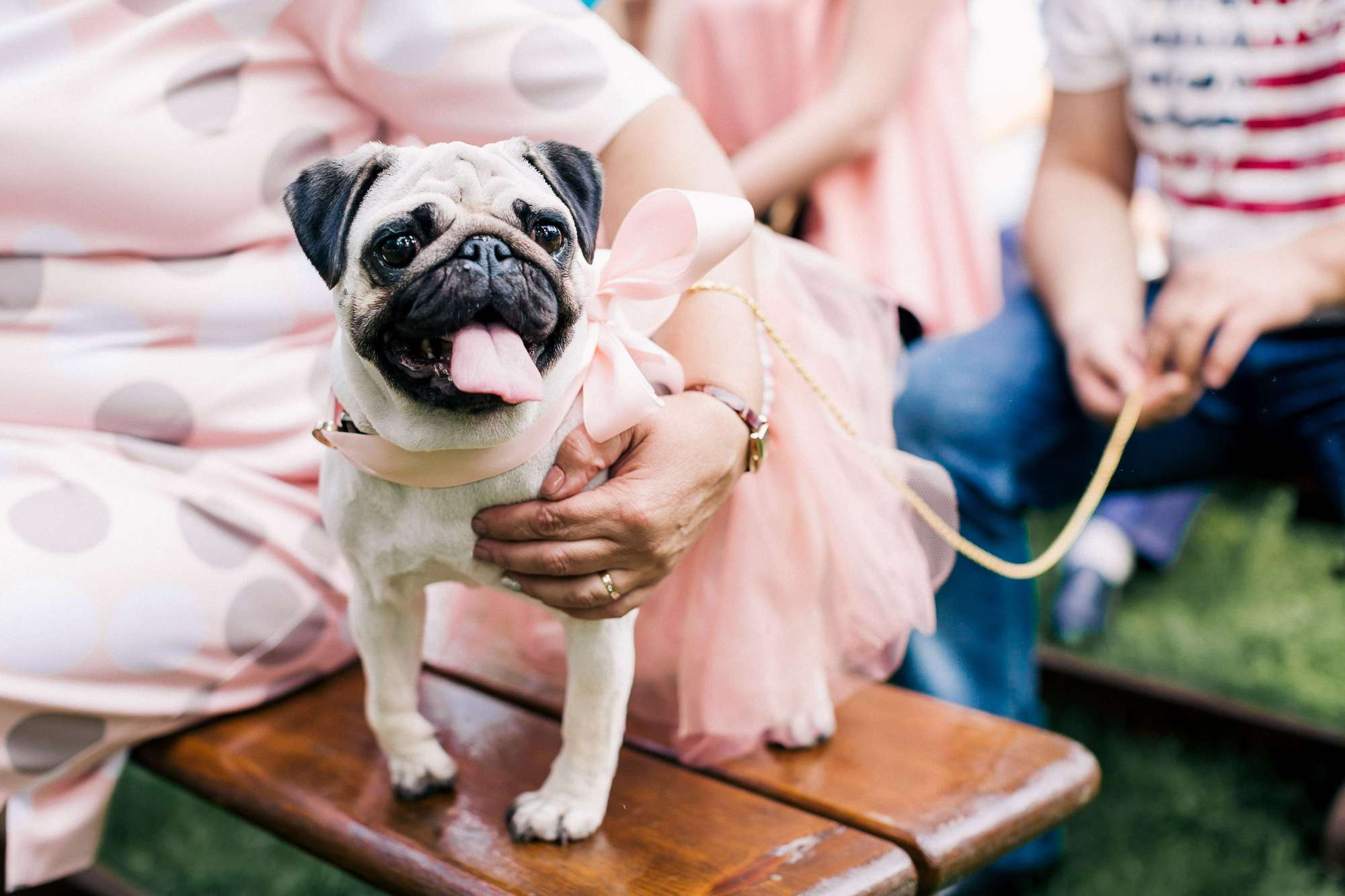 ВАЛЕРИЙ И ОЛЕСЯ | ВЛАДИВОСТОК. Фотограф во Владивостоке Антон Блохин