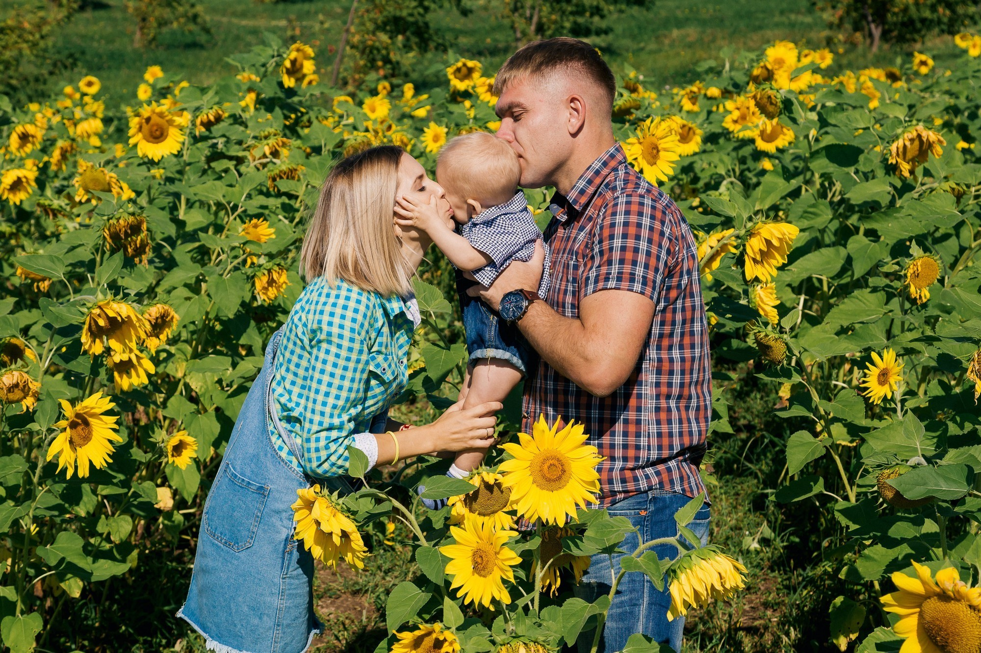 Фотосессия в подсолнуховом поле во владивостоке. Фотограф во Владивостоке Антон Блохин