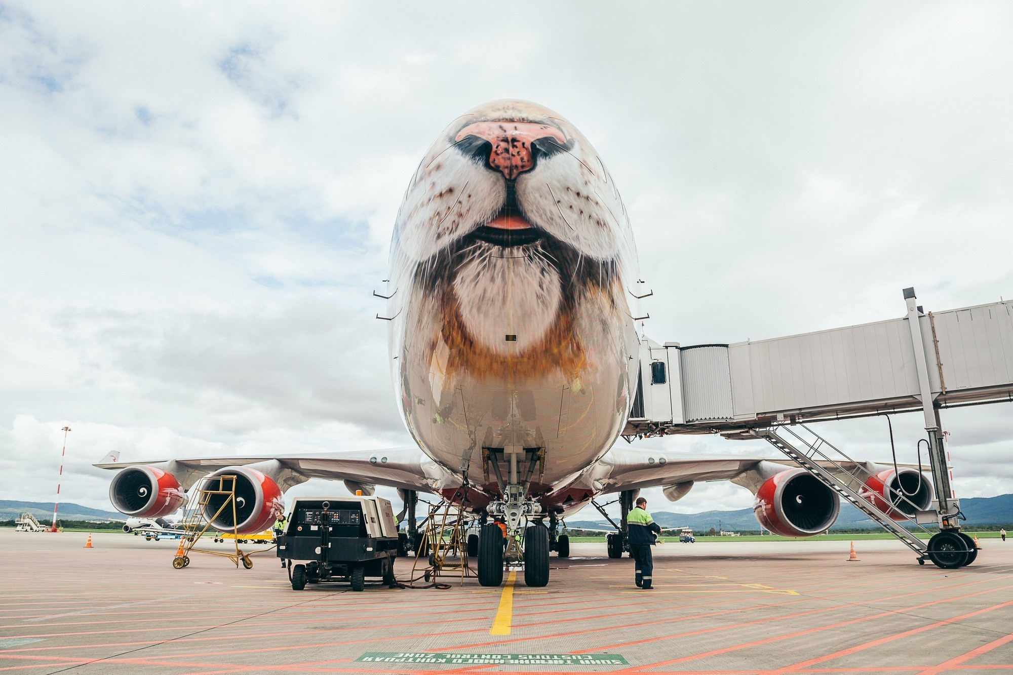 Авиаспоттинг в аэропорту Владивостока. Wedding and family photographer in Vladivostok Anton Blokhin