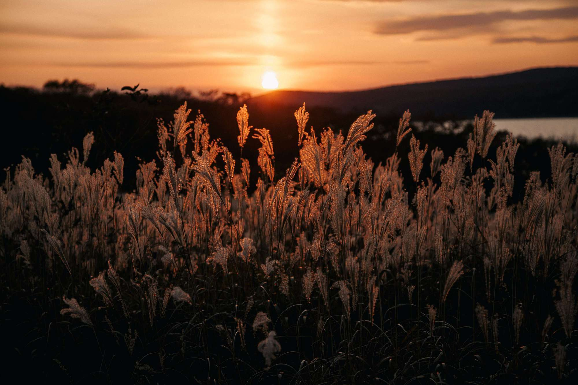 ЗОЛОТАЯ ОСЕНЬ!. Фотограф во Владивостоке Антон Блохин