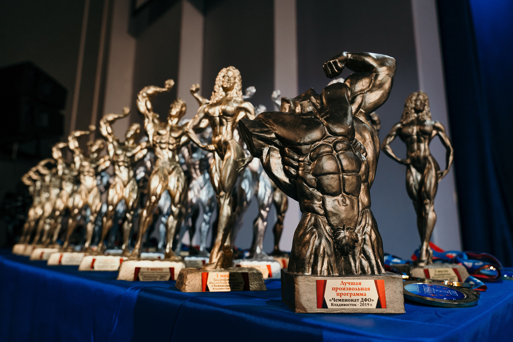 ЧЕМПИОНАТ ДАЛЬНЕВОСТОЧНОГО ФЕДЕРАЛЬНОГО ОКРУГА ПО БОДИБИЛДИНГУ 2019. Wedding and family photographer in Vladivostok Anton Blokhin