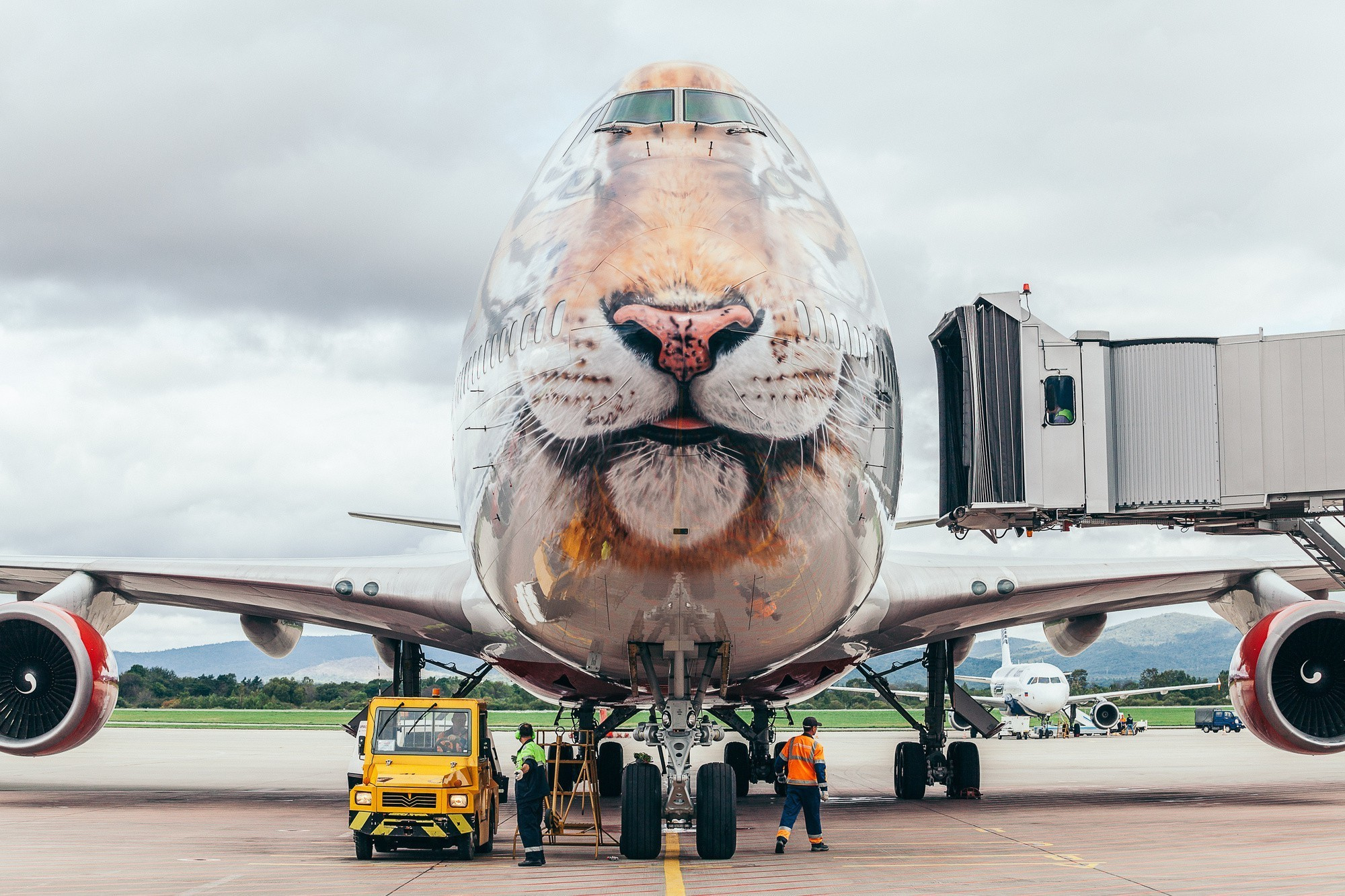 Авиаспоттинг в аэропорту Владивостока. Wedding and family photographer in Vladivostok Anton Blokhin