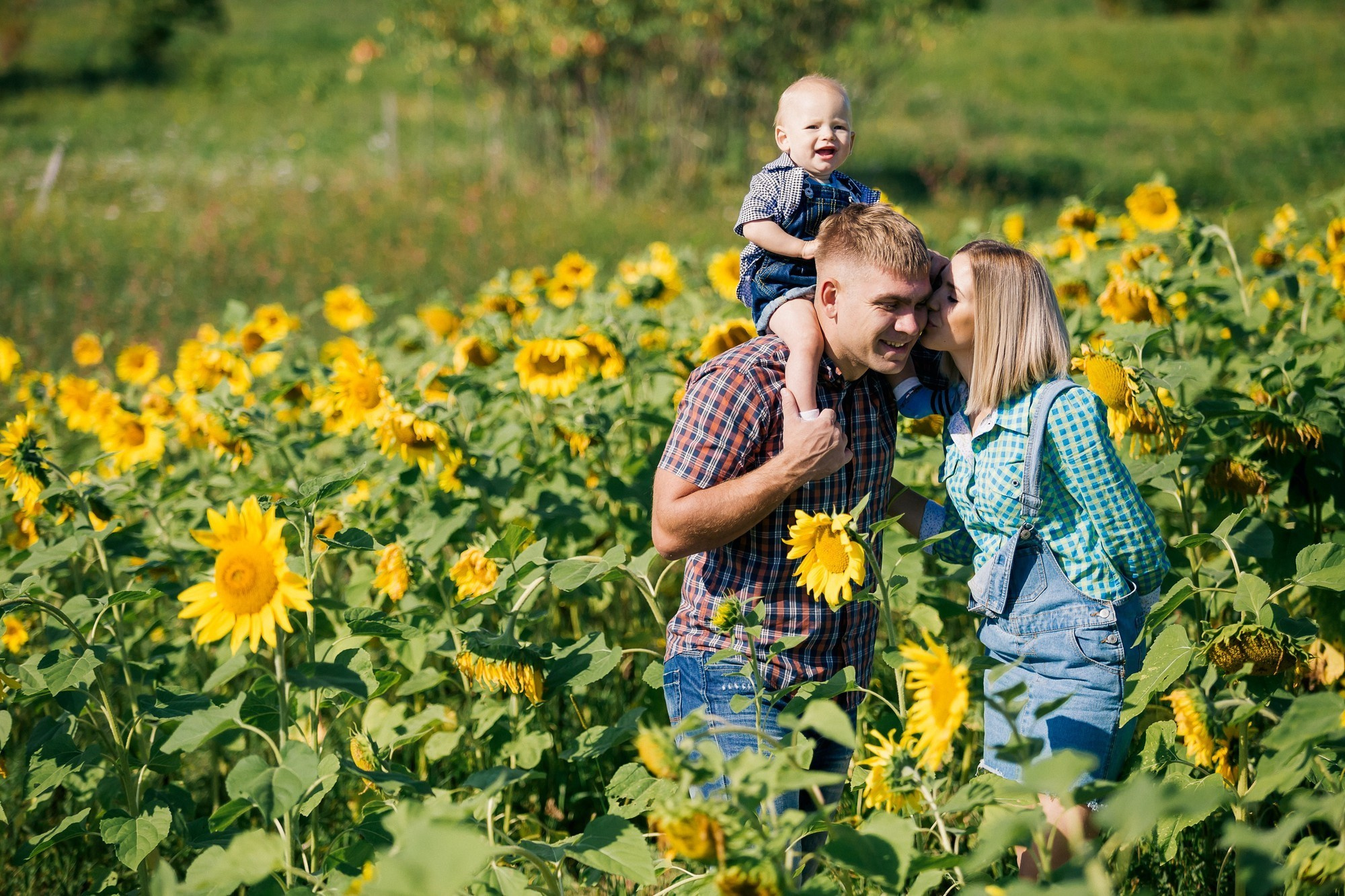 Фотосессия в подсолнуховом поле во владивостоке. Фотограф во Владивостоке Антон Блохин